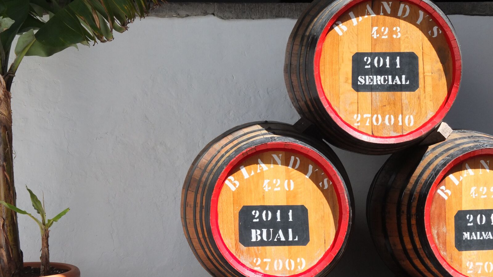 Fujifilm X10 sample photo. Barrels, wine, wine barrel photography