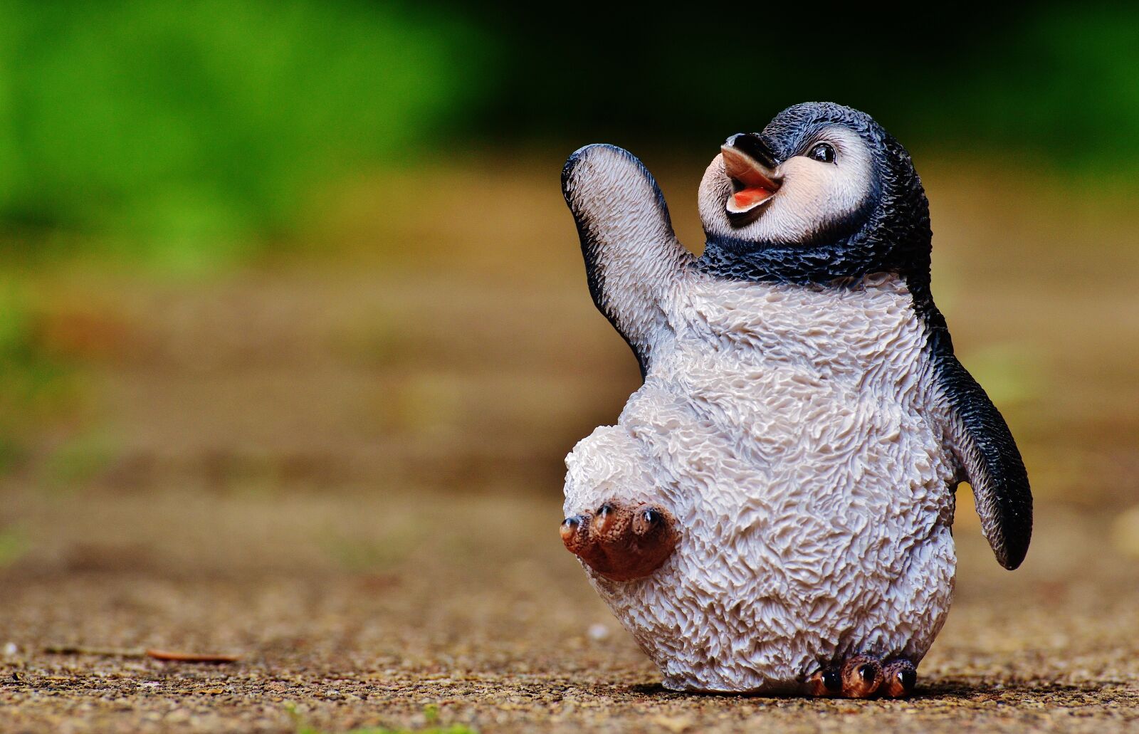 Nikon D3200 sample photo. Penguin, figure, cute photography