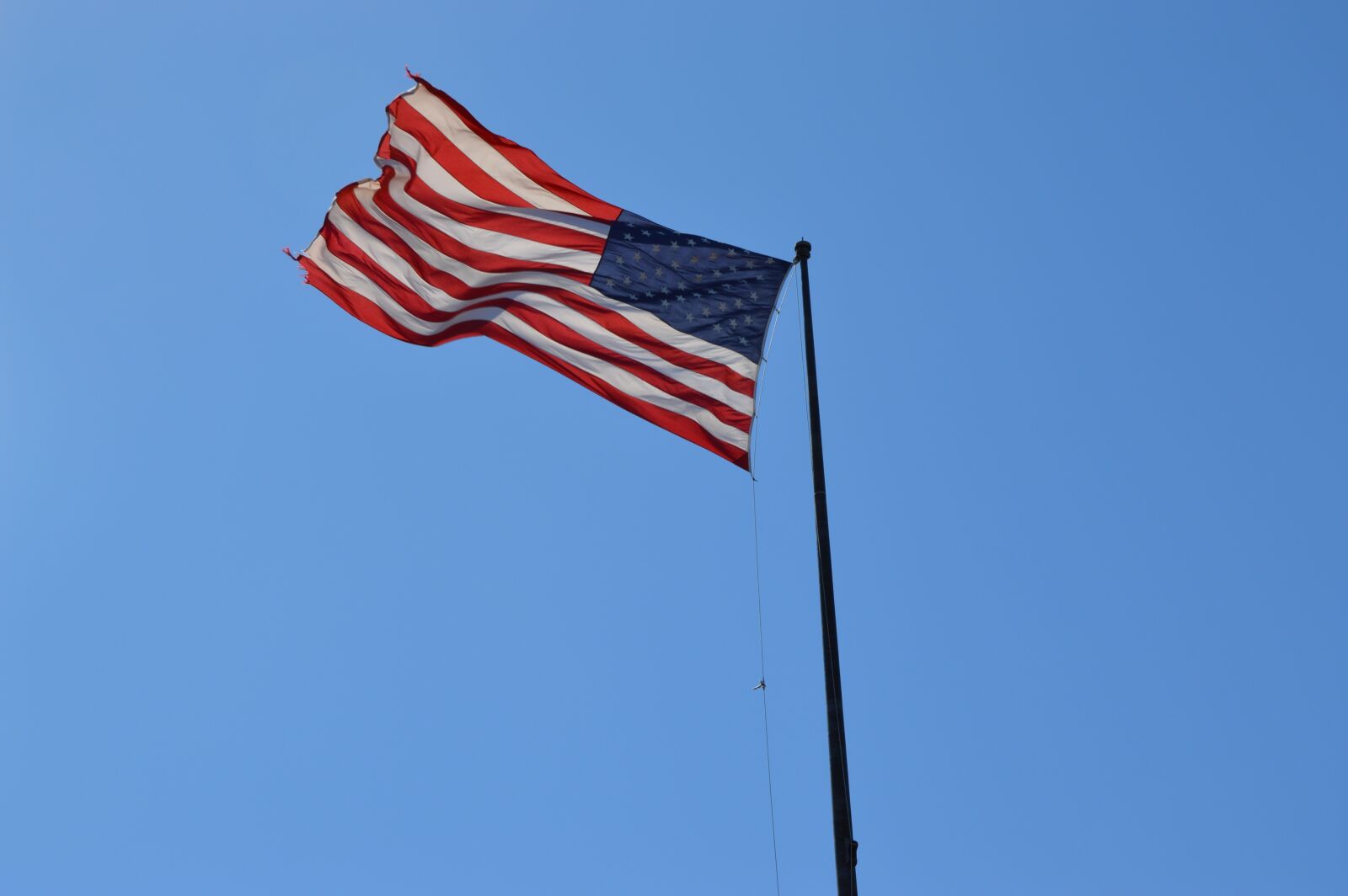 Nikon D3200 sample photo. Flag, usa, states photography
