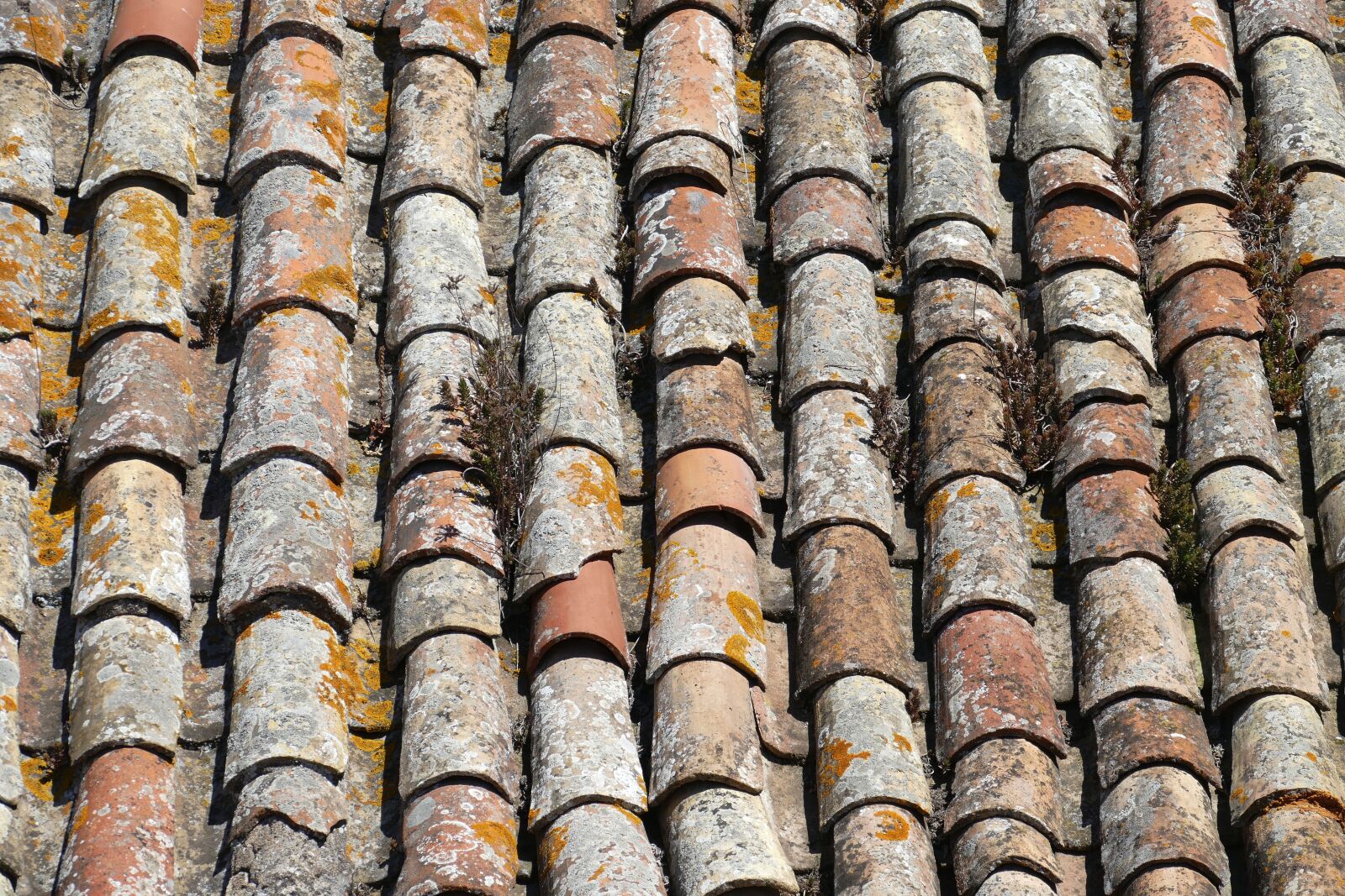 Panasonic Lumix DMC-FZ1000 sample photo. Roof, brick, tile photography