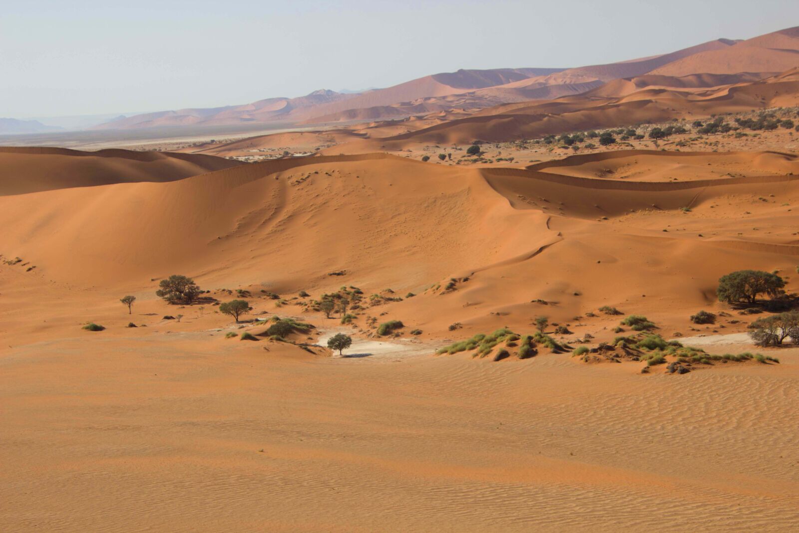 Canon EOS 600D (Rebel EOS T3i / EOS Kiss X5) sample photo. Africa, namibia, desert photography