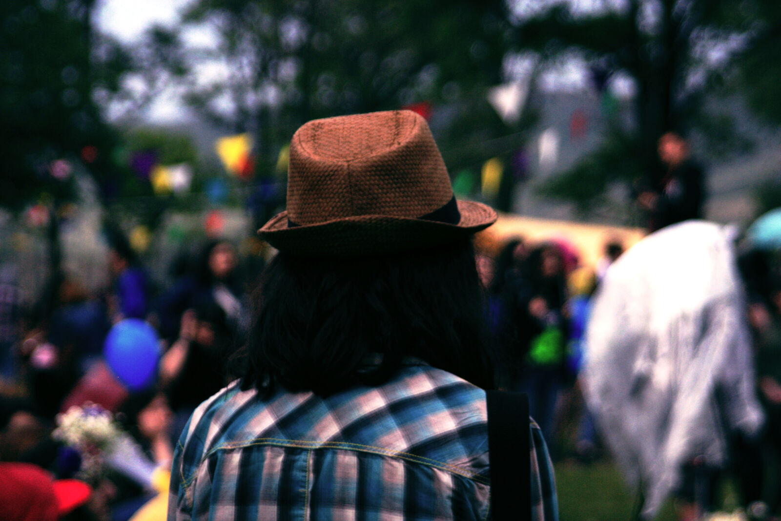 Canon EOS 450D (EOS Rebel XSi / EOS Kiss X2) sample photo. Back, crowd, festival, flags photography