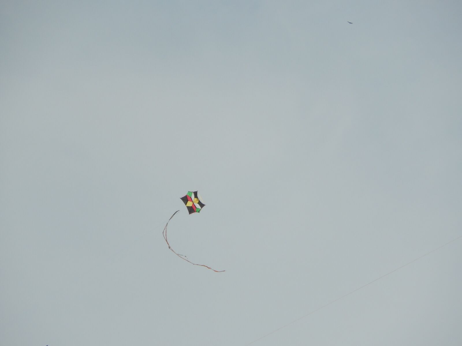 Nikon Coolpix L820 sample photo. Kite, kite flying, sky photography