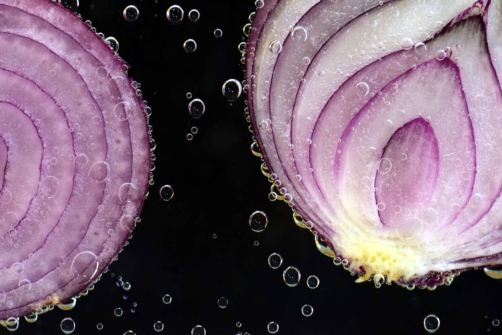 Nikon D3300 sample photo. Food, slice, vegetable, onion photography