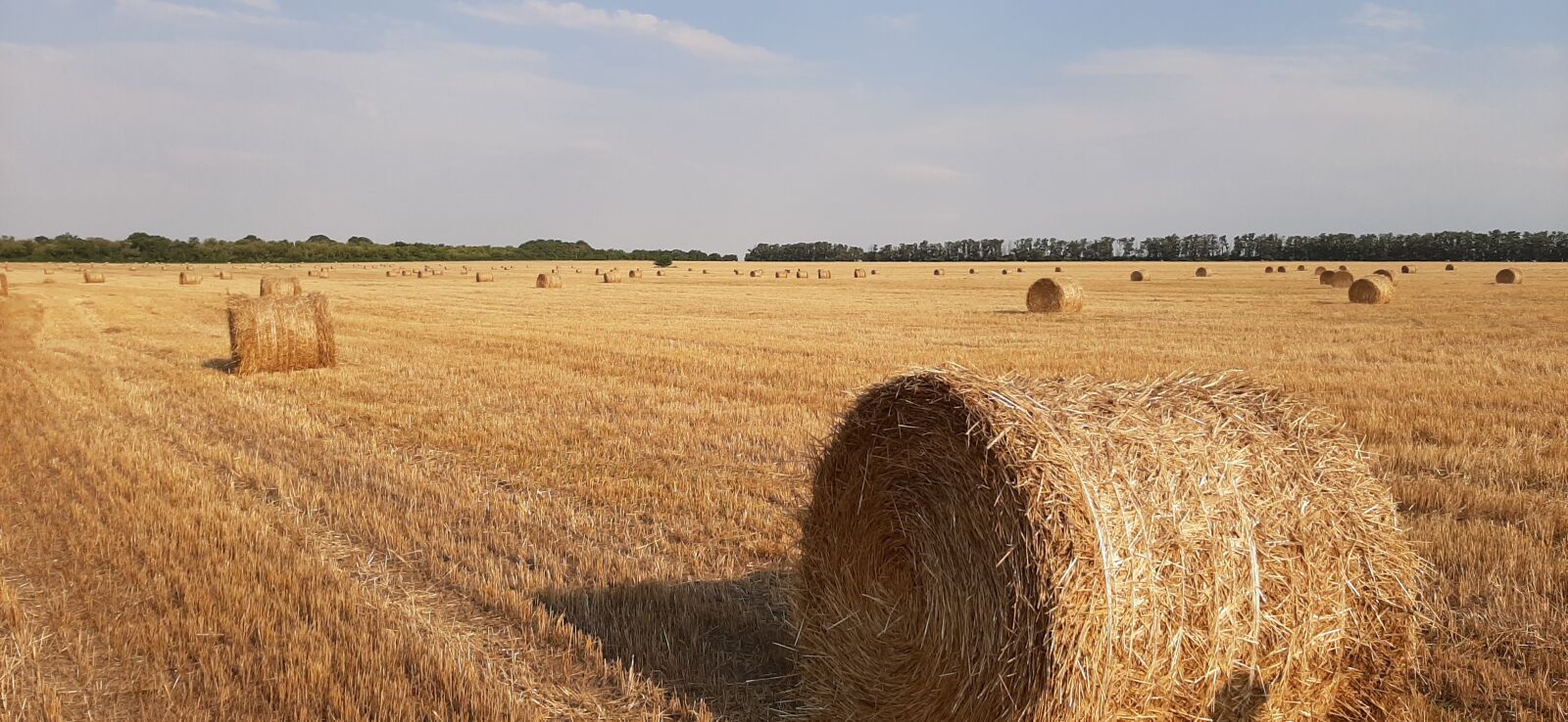 Samsung Galaxy A50 sample photo. Rolls, cleaning, harvest photography