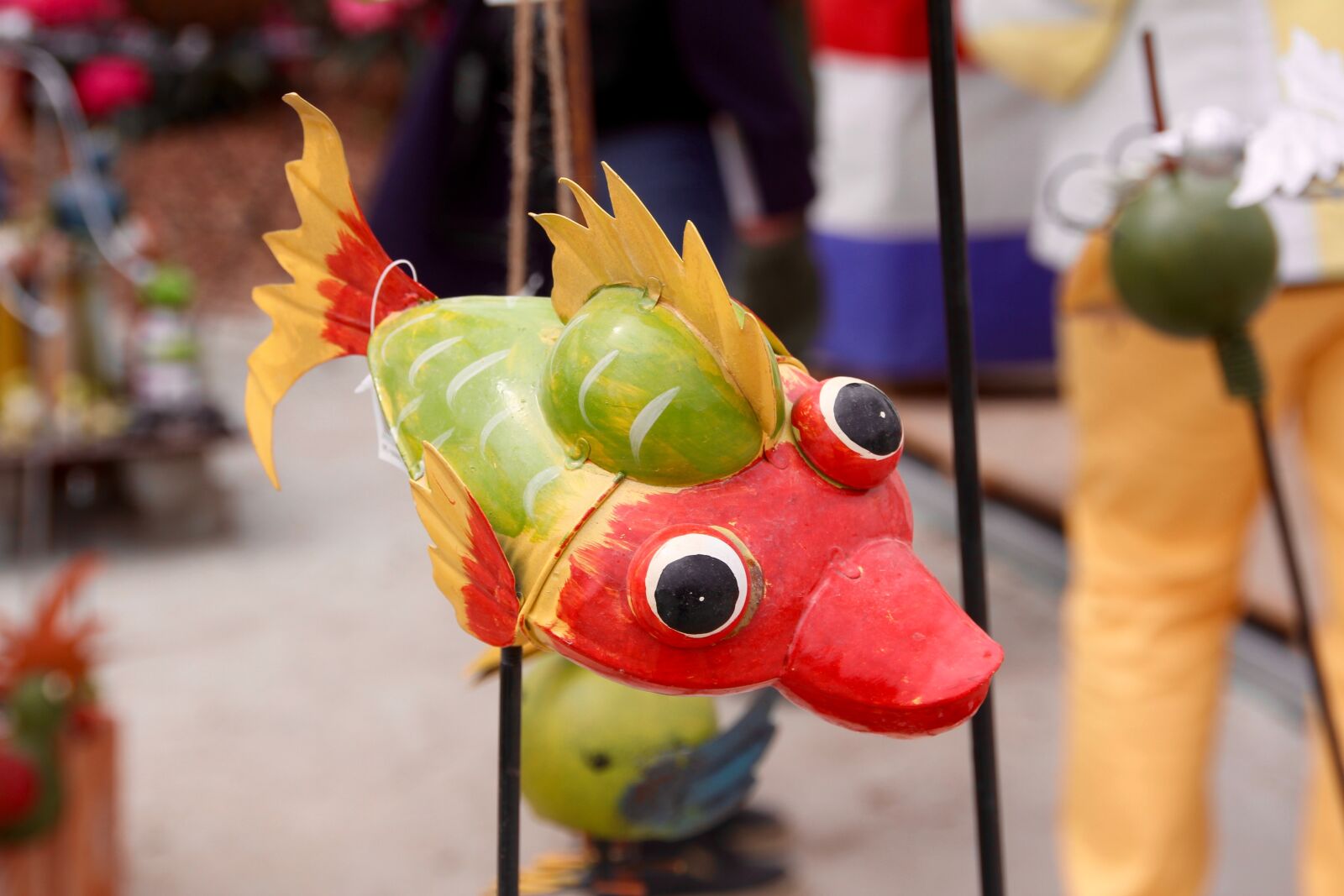 Canon EOS 60D sample photo. Fish, fish eye, decoration photography