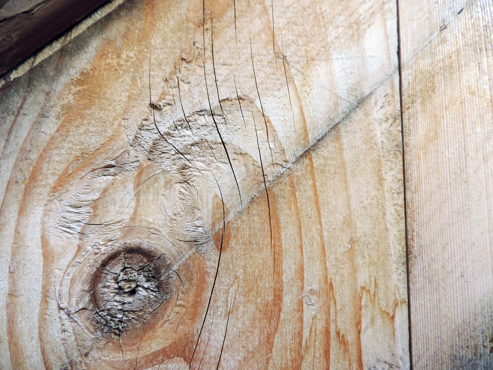 Nikon Coolpix P520 sample photo. Carpentry, knot, wood, wooden photography