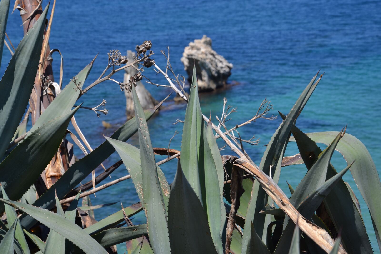 Nikon D3100 sample photo. Sicily, sea, palermo photography