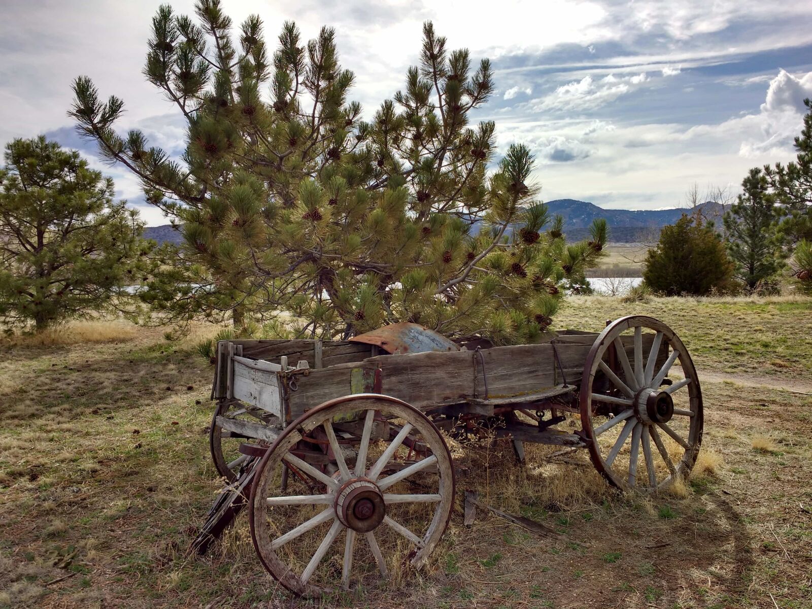 Motorola MotoG3 sample photo. Carpentry, craft, handmade, carriage photography