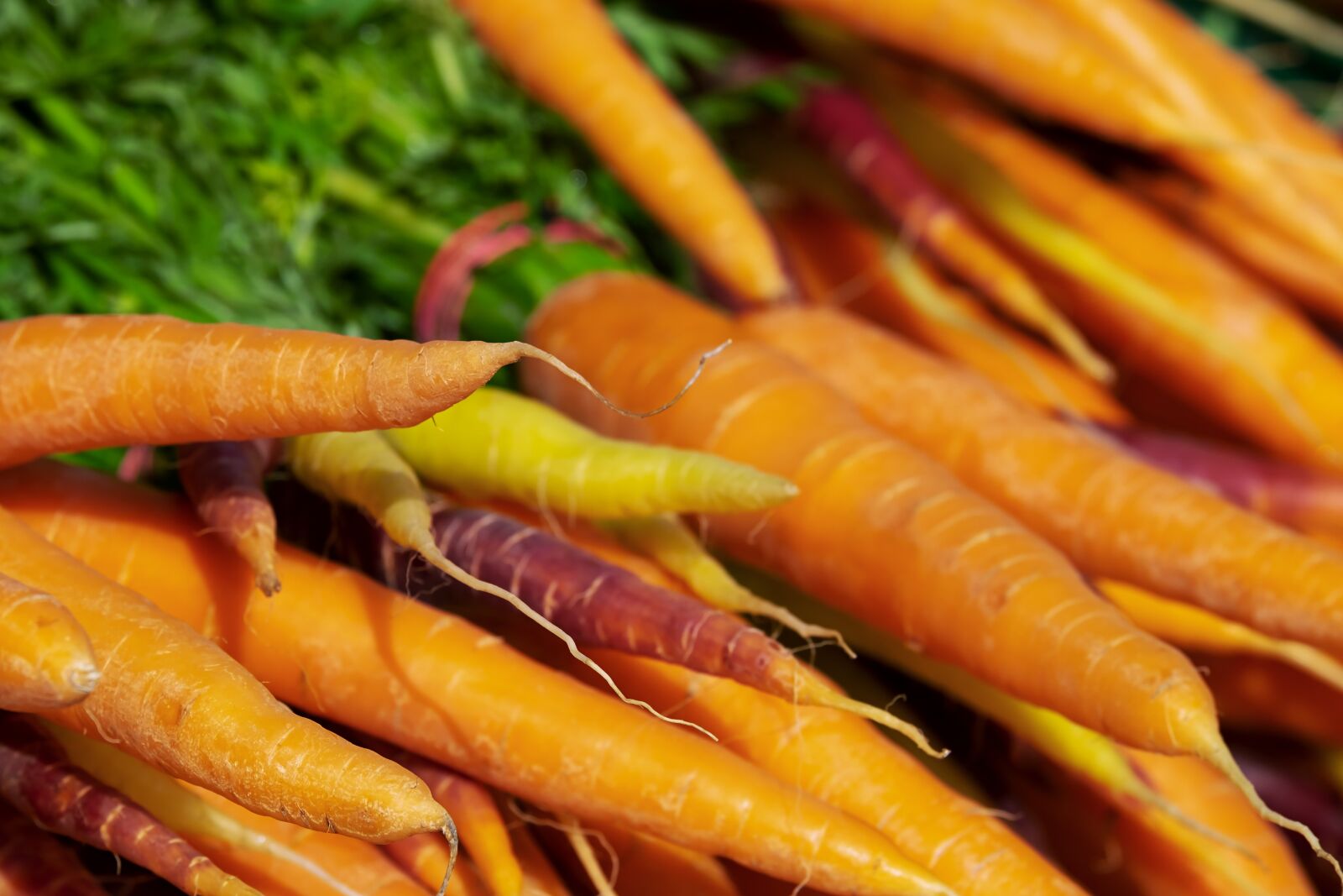 Fujifilm XF 55-200mm F3.5-4.8 R LM OIS sample photo. Carrots, vitamins, nutrition photography