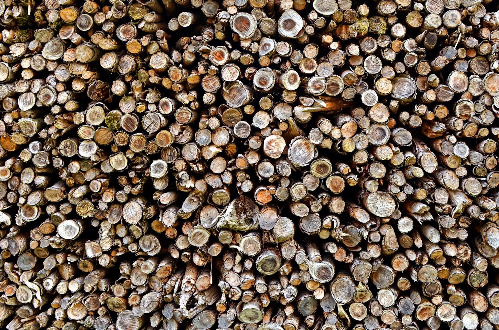 Nikon D7000 sample photo. Texture, invoice, wood photography