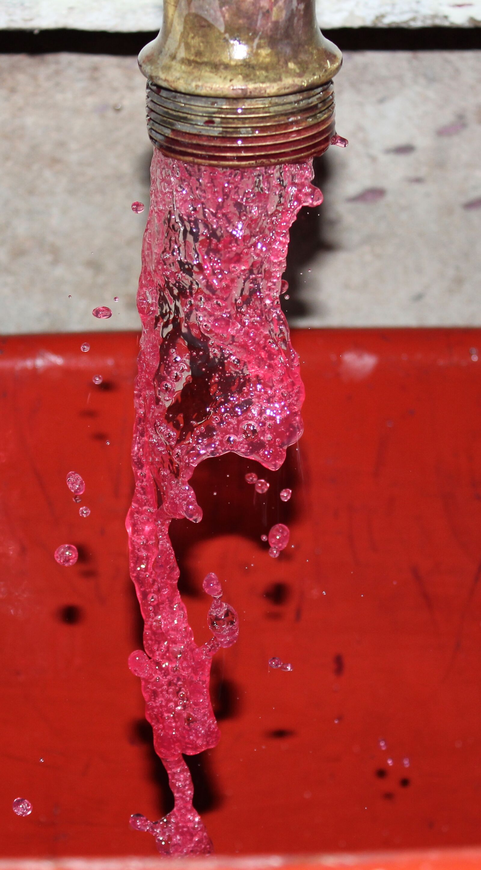 Canon EOS 550D (EOS Rebel T2i / EOS Kiss X4) sample photo. Wine, beaujolais, juice press photography