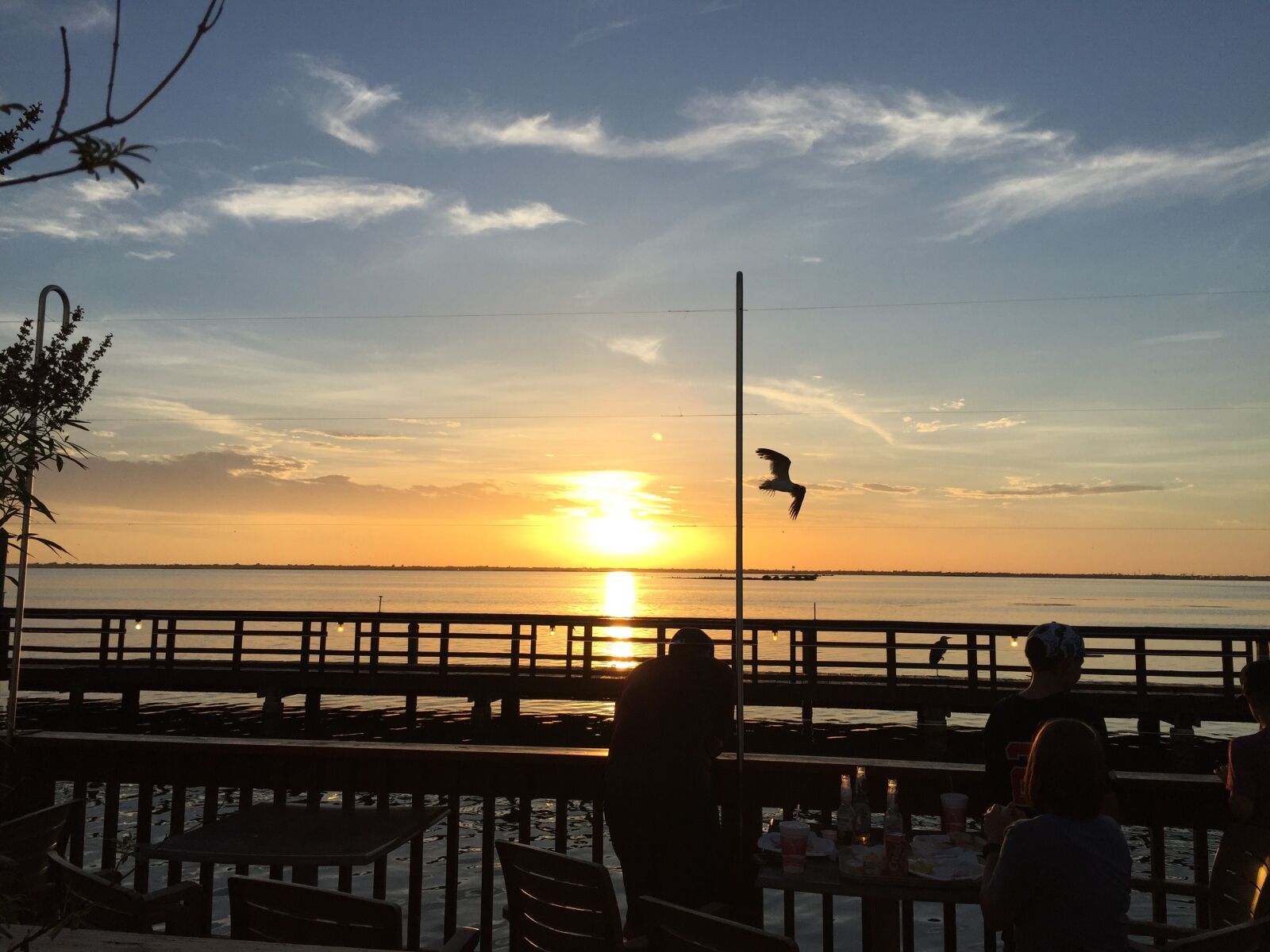 Apple iPhone 6 sample photo. Bay, sunset, pelican photography