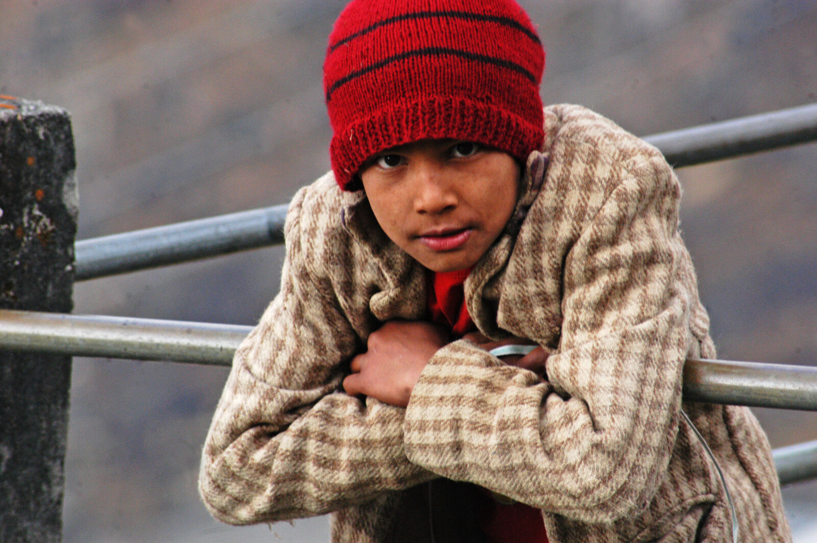 Nikon D100 sample photo. Boy, himalayas, india, innocent photography
