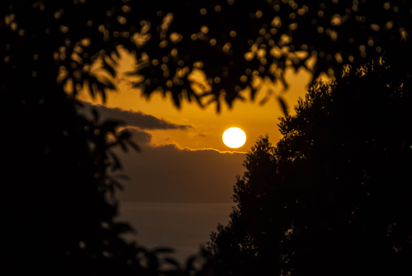 Nikon D3000 sample photo. Sol, azores, portugal photography
