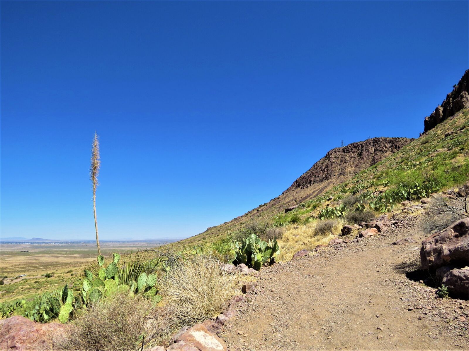 Canon PowerShot SX50 HS sample photo. Hiking, new mexico, desert photography
