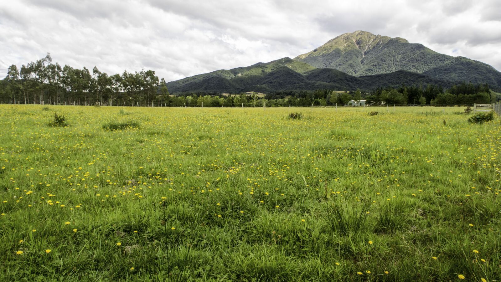 Canon PowerShot G7 X sample photo. Methven, farm, grass photography