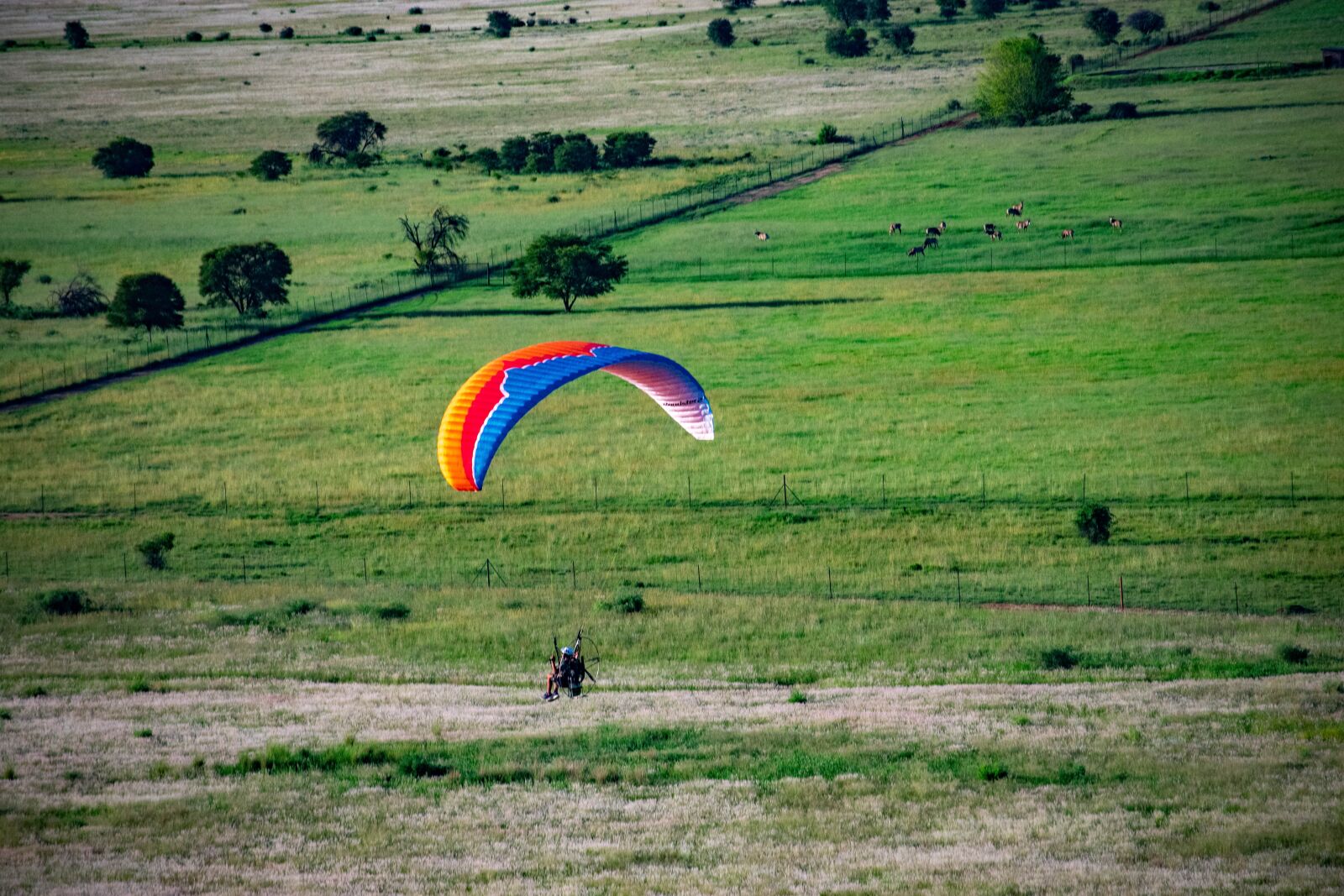 Nikon D3400 sample photo. Paramotor, flight, paragliding photography