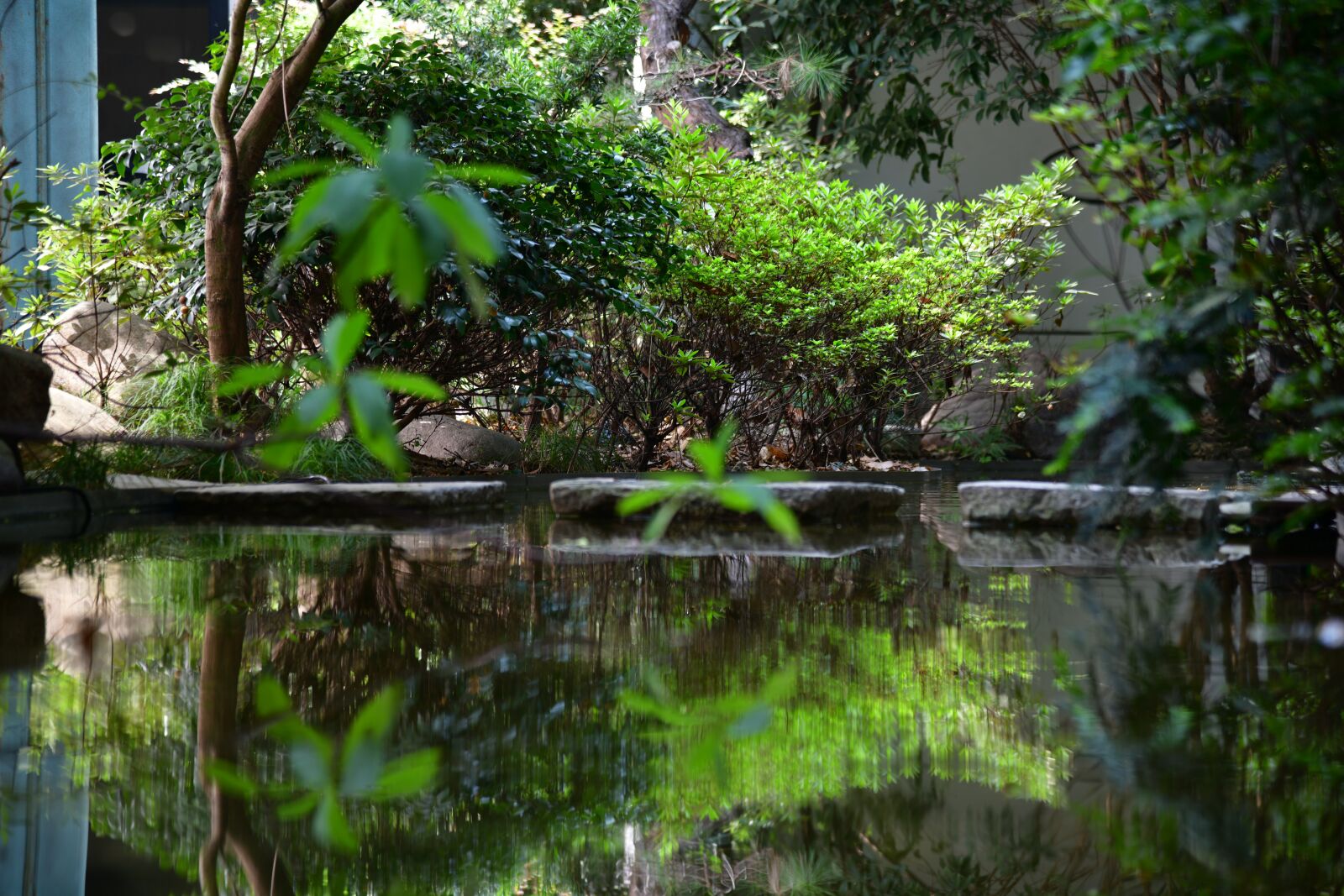 Nikon D850 sample photo. Reflection, trees, water photography