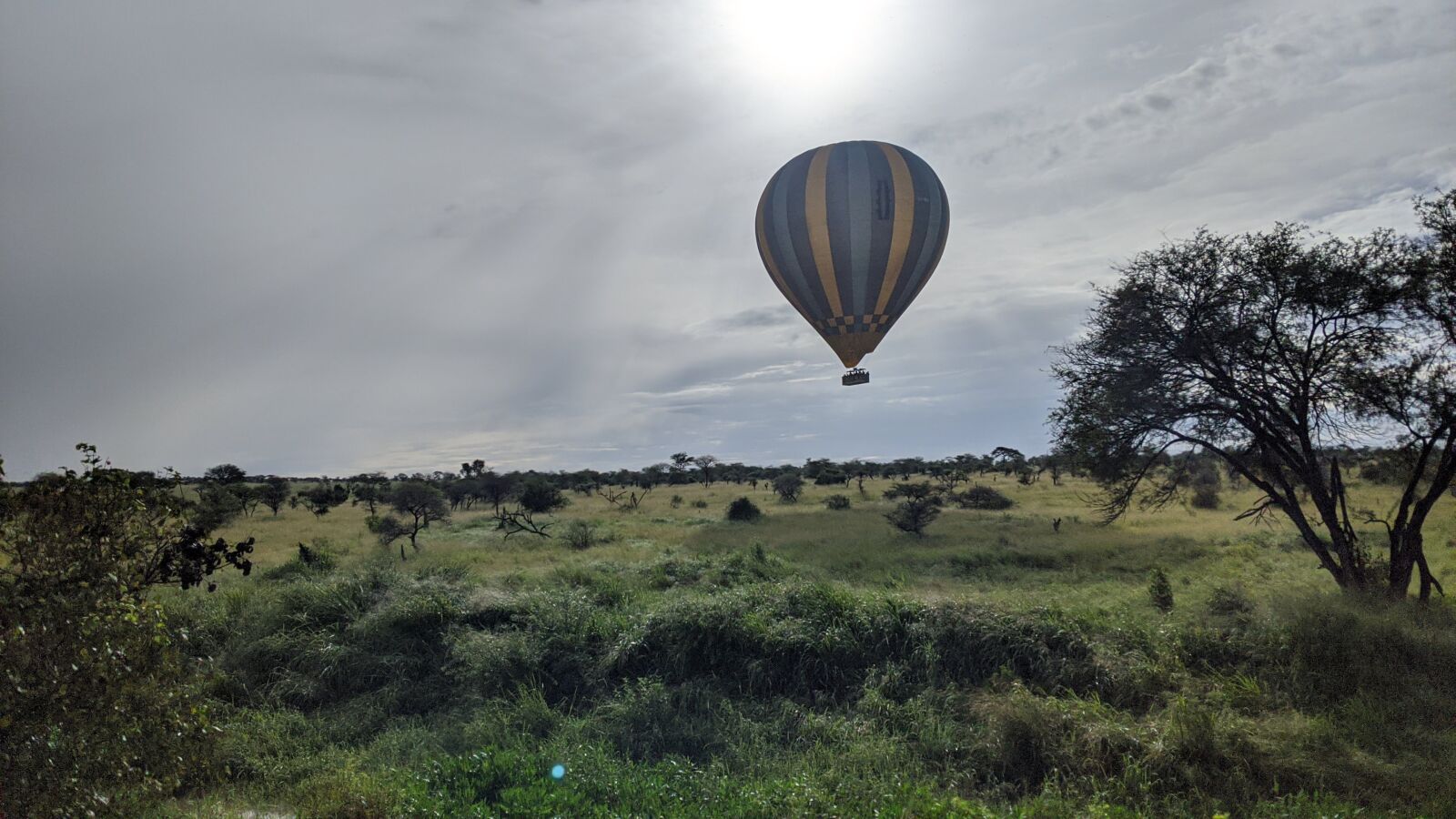 Google Pixel 3a sample photo. Africa, safari, tanzania photography