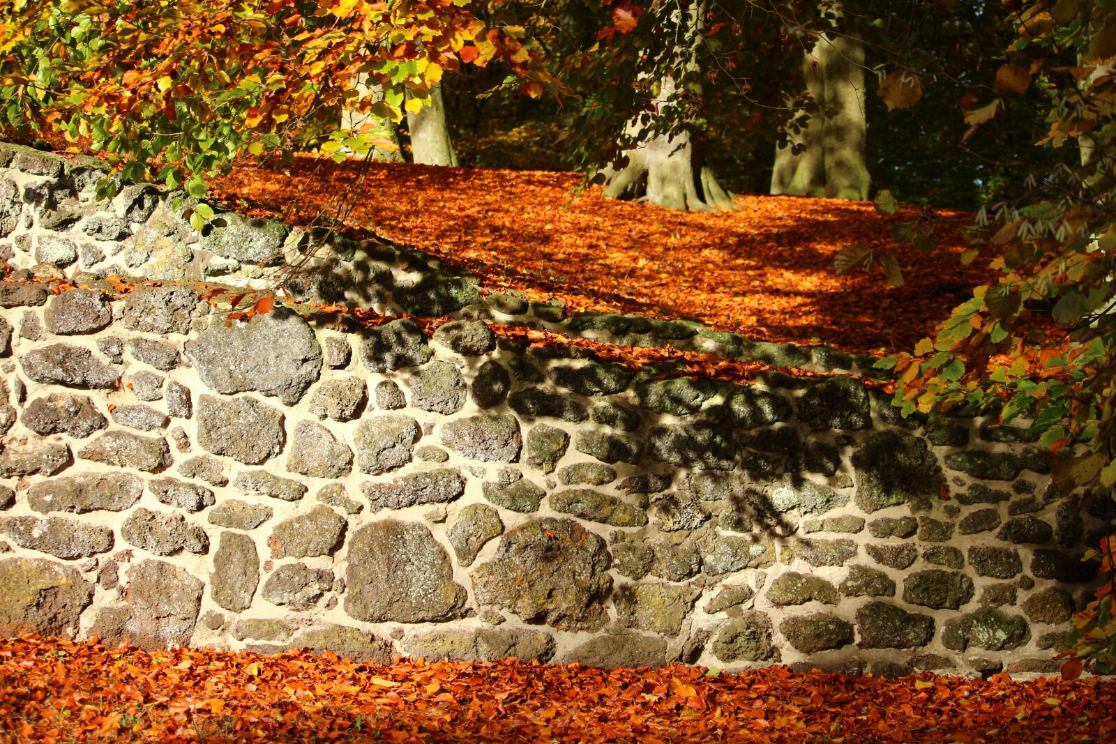 Canon EOS 100D (EOS Rebel SL1 / EOS Kiss X7) sample photo. Autumn, stone wall, fall photography