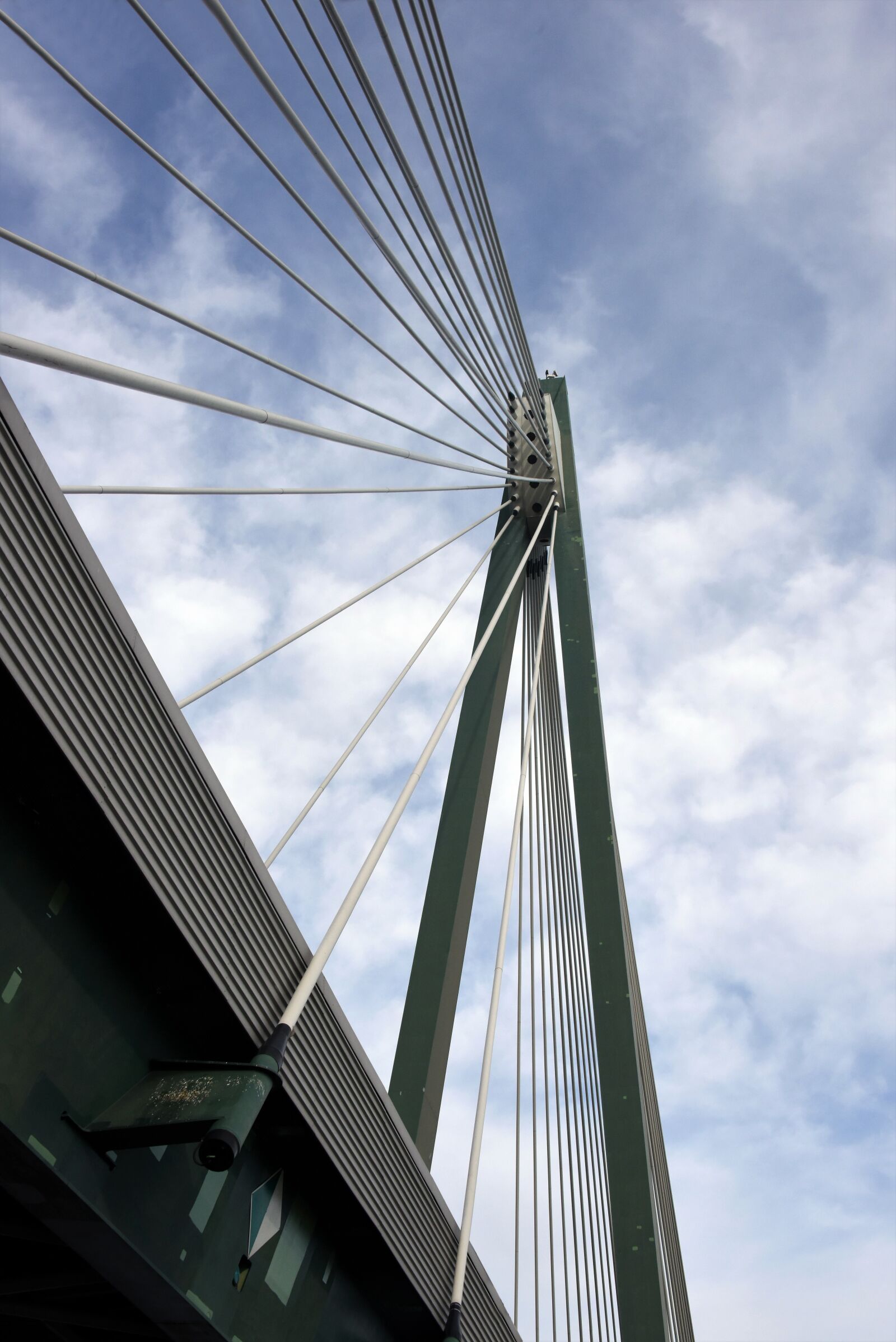 Nikon D810 sample photo. Bridge, danube, austria photography