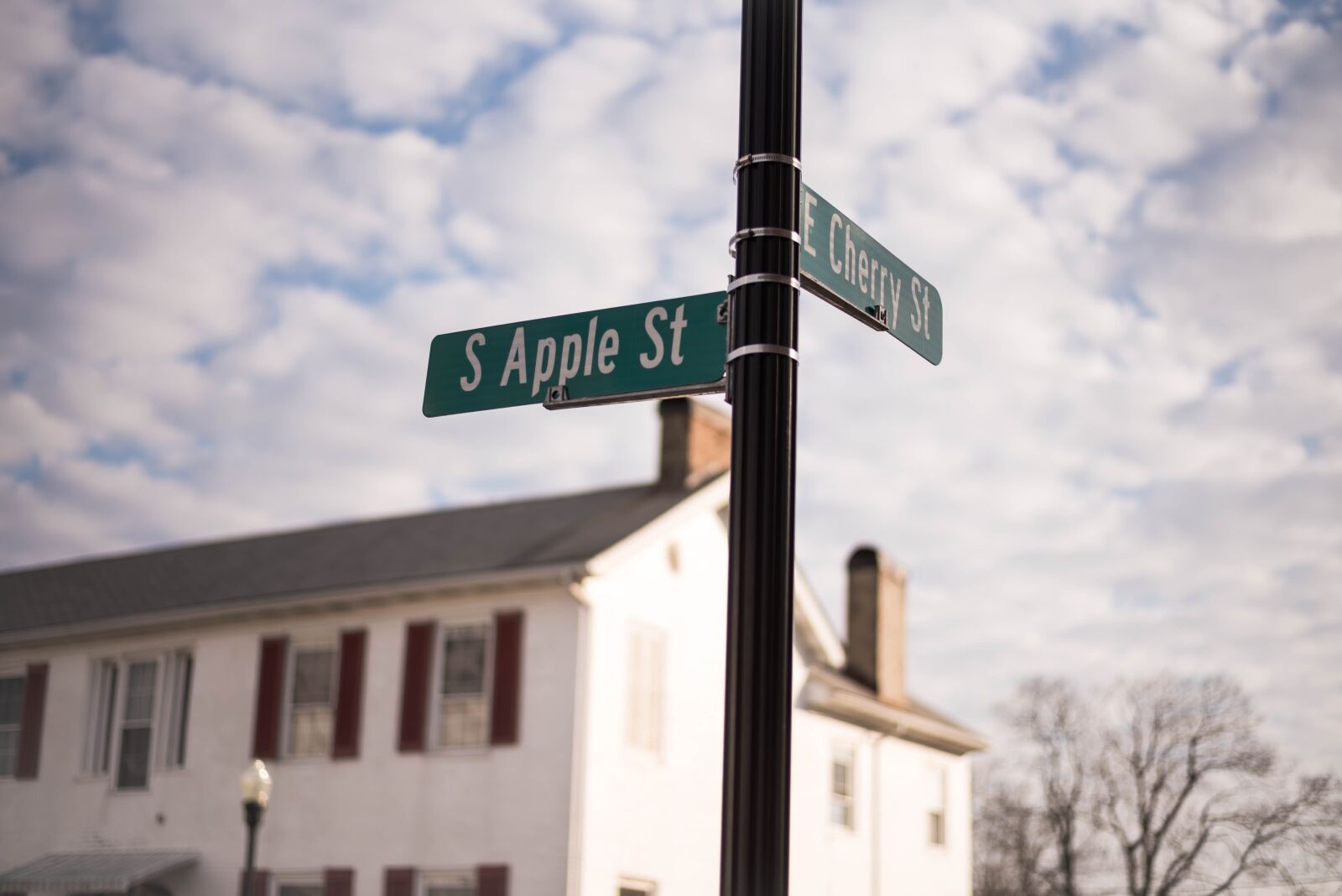 Nikon D750 sample photo. Street sign, apple street photography