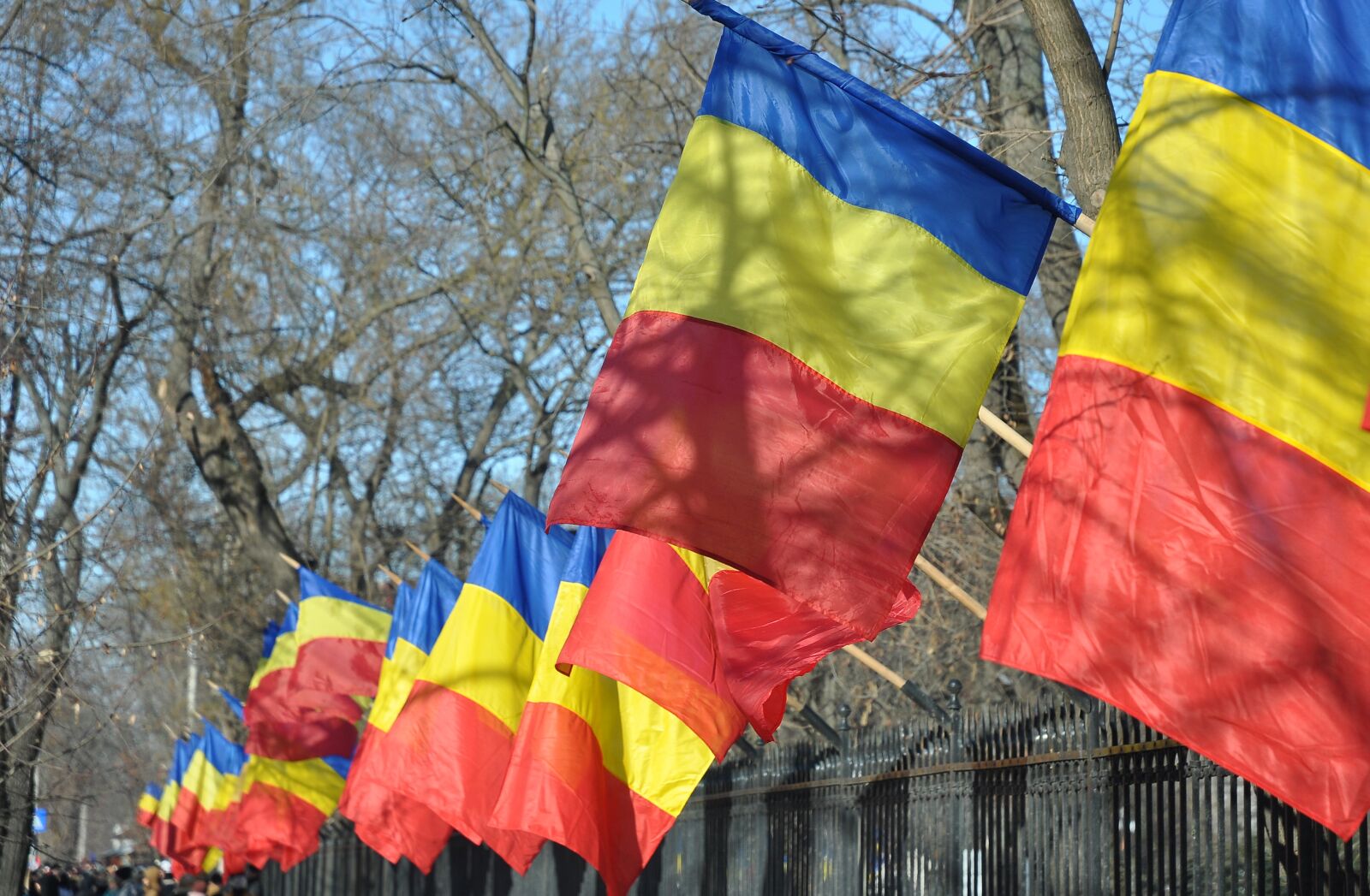 Nikon D90 sample photo. Romania, flag, national day photography