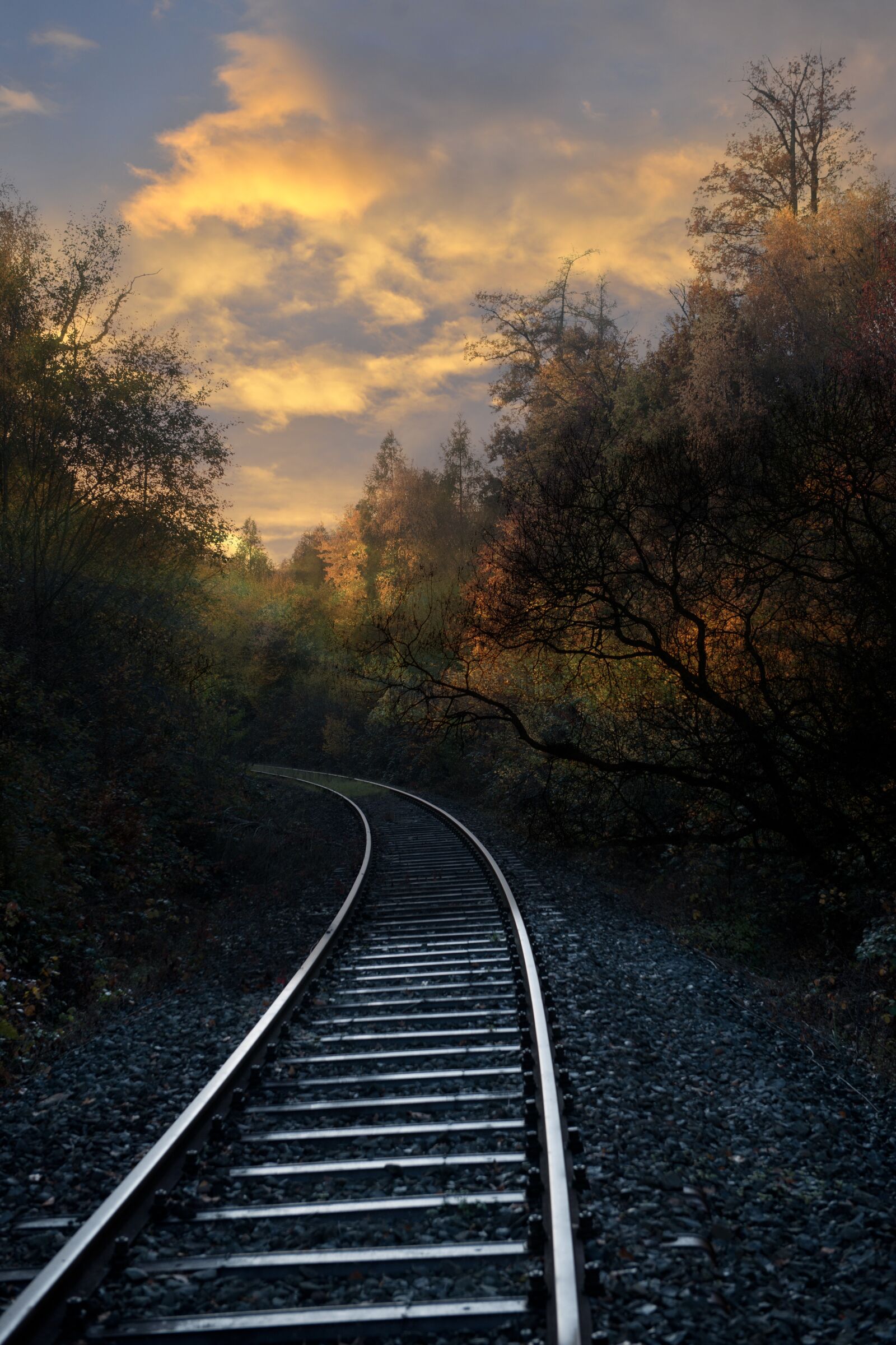Nikon D3X sample photo. Railway tracks, railway, railway photography