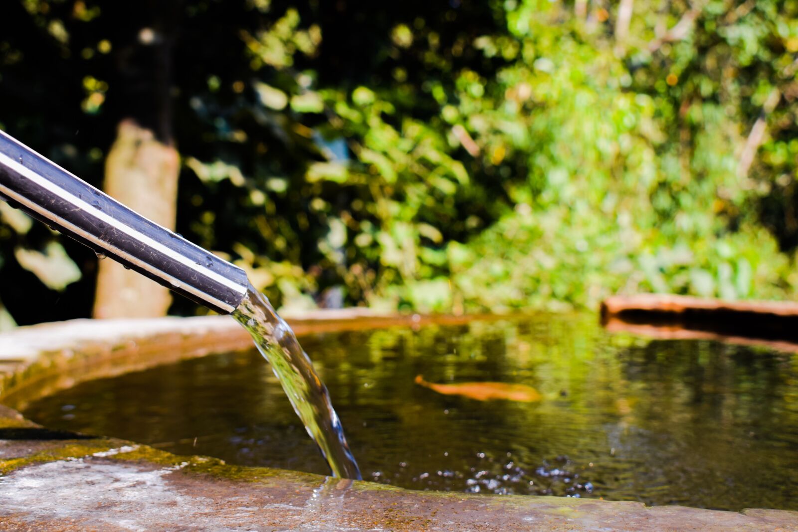 Nikon D3300 sample photo. Clear, water, flowing, fresh photography