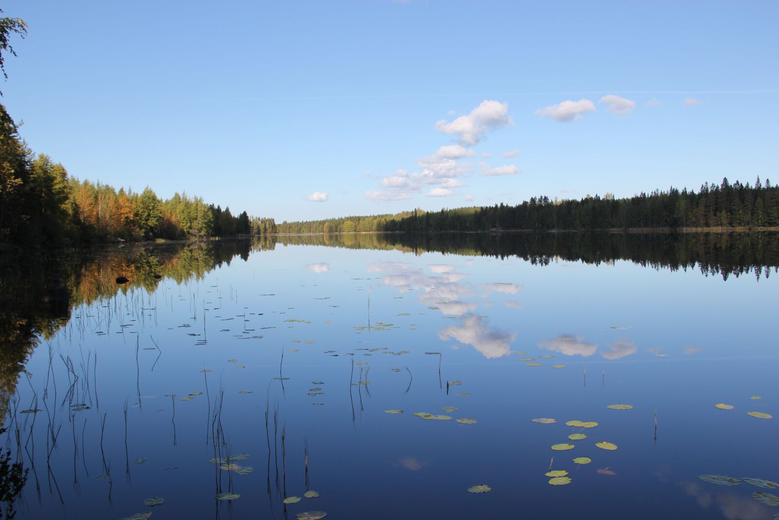 Canon EOS 550D (EOS Rebel T2i / EOS Kiss X4) sample photo. Lake, reflection, water bodies photography