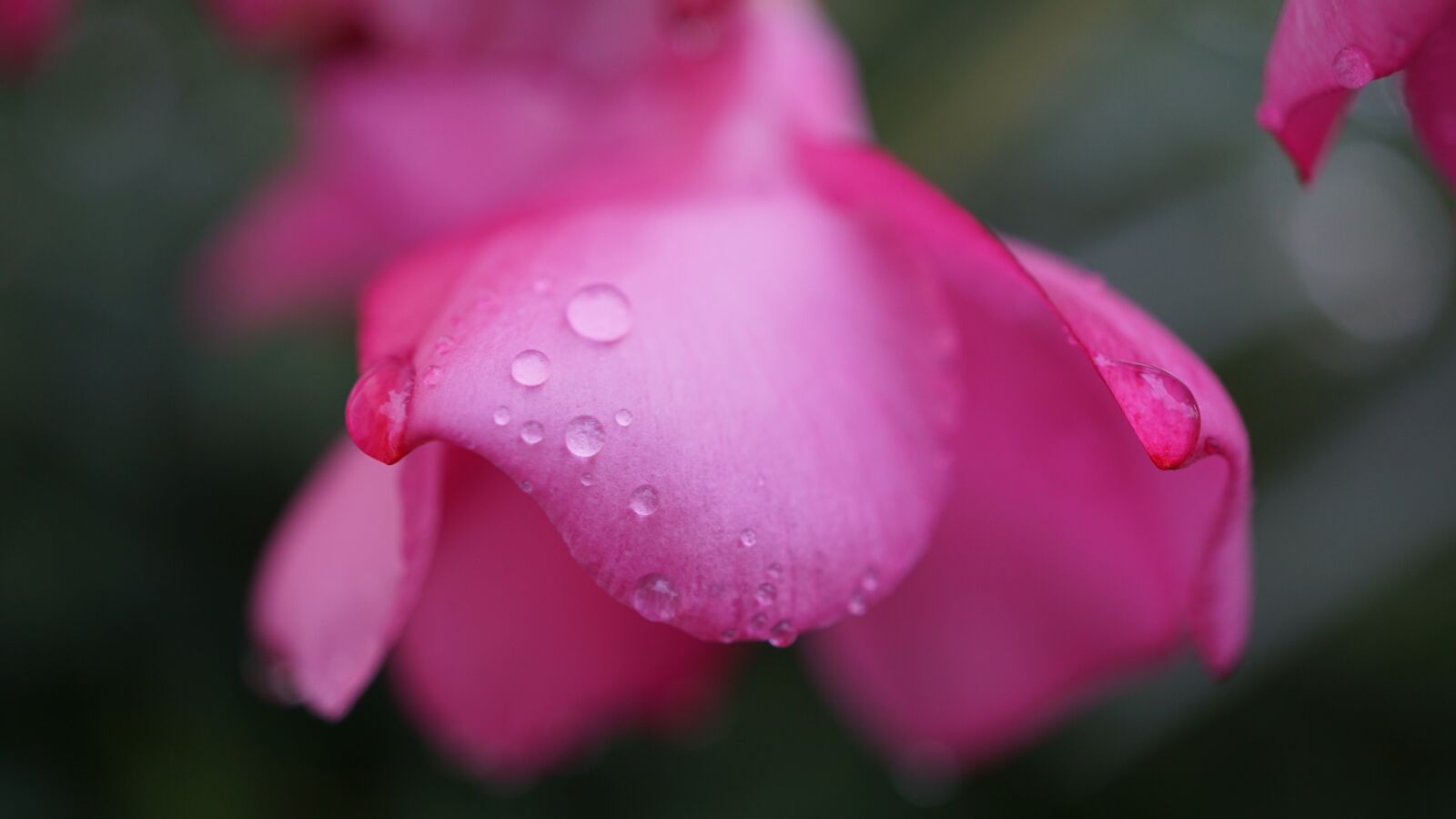 Sony E 30mm F3.5 Macro sample photo. Drop of water, background photography