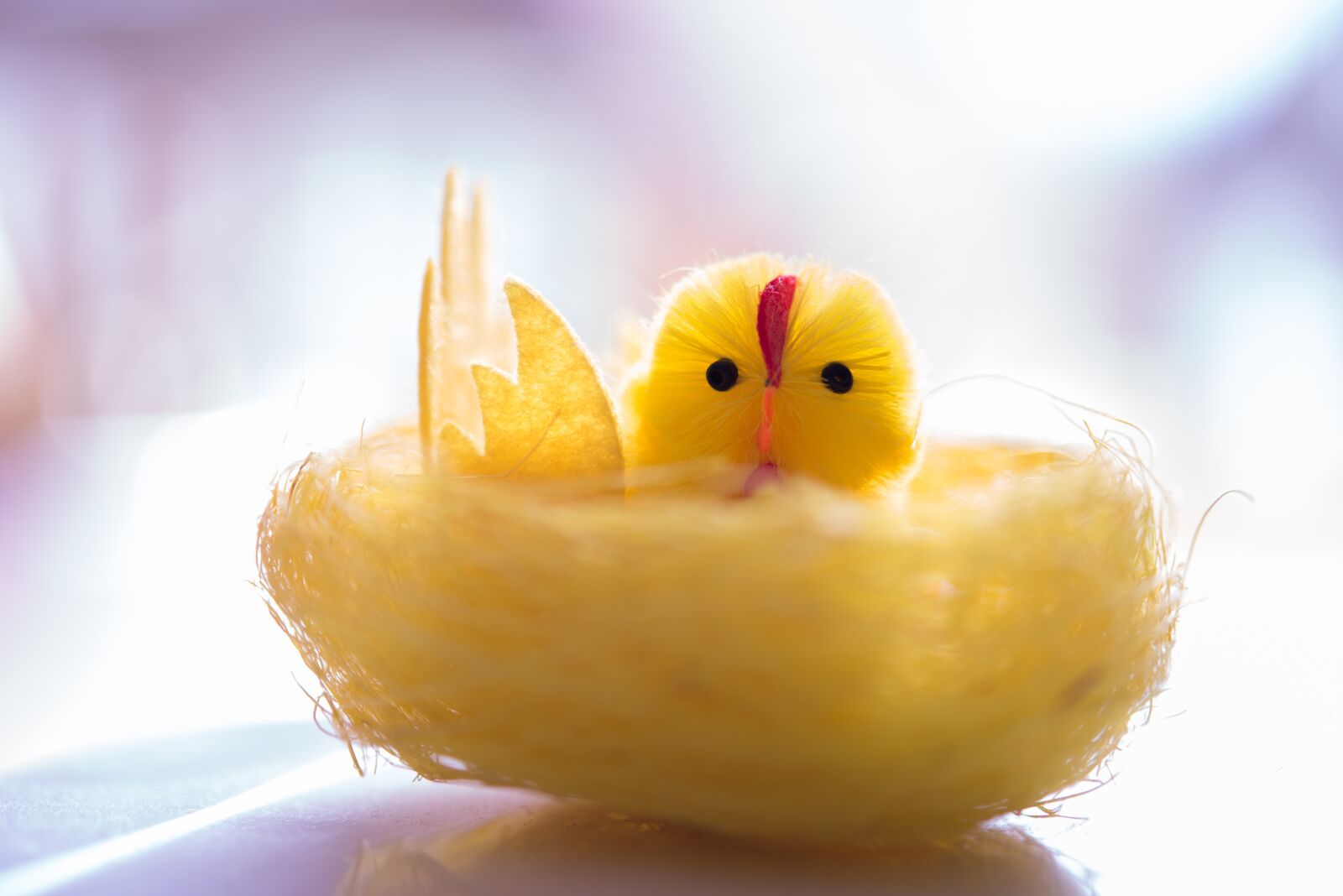 Nikon D600 sample photo. Yellow, chick, decorative photography