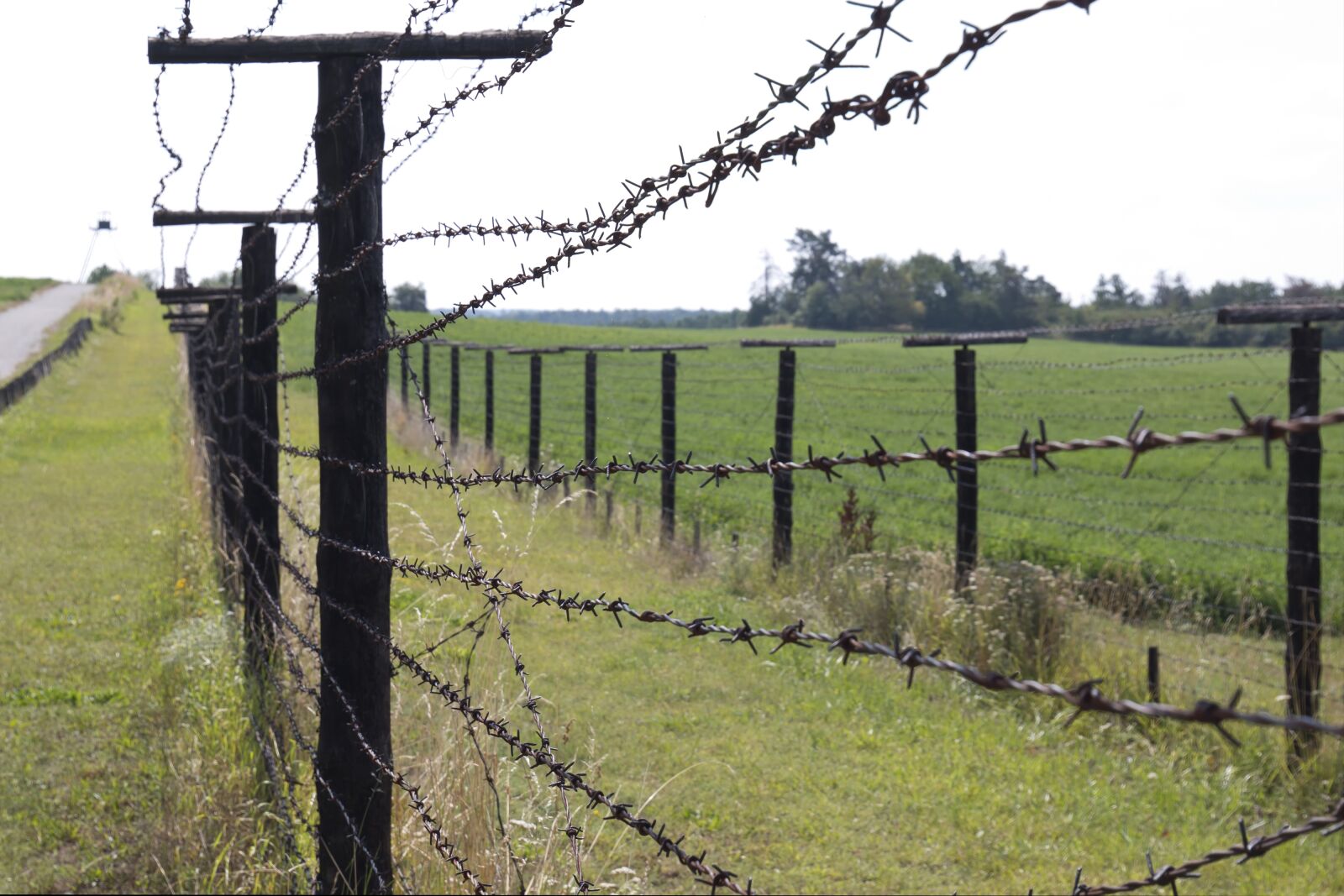 Canon EOS 70D sample photo. Iron, curtain, fence photography