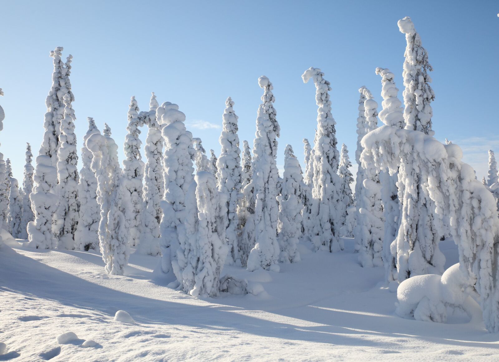 Canon EOS 5DS R sample photo. Lappand, winter, landscapes photography