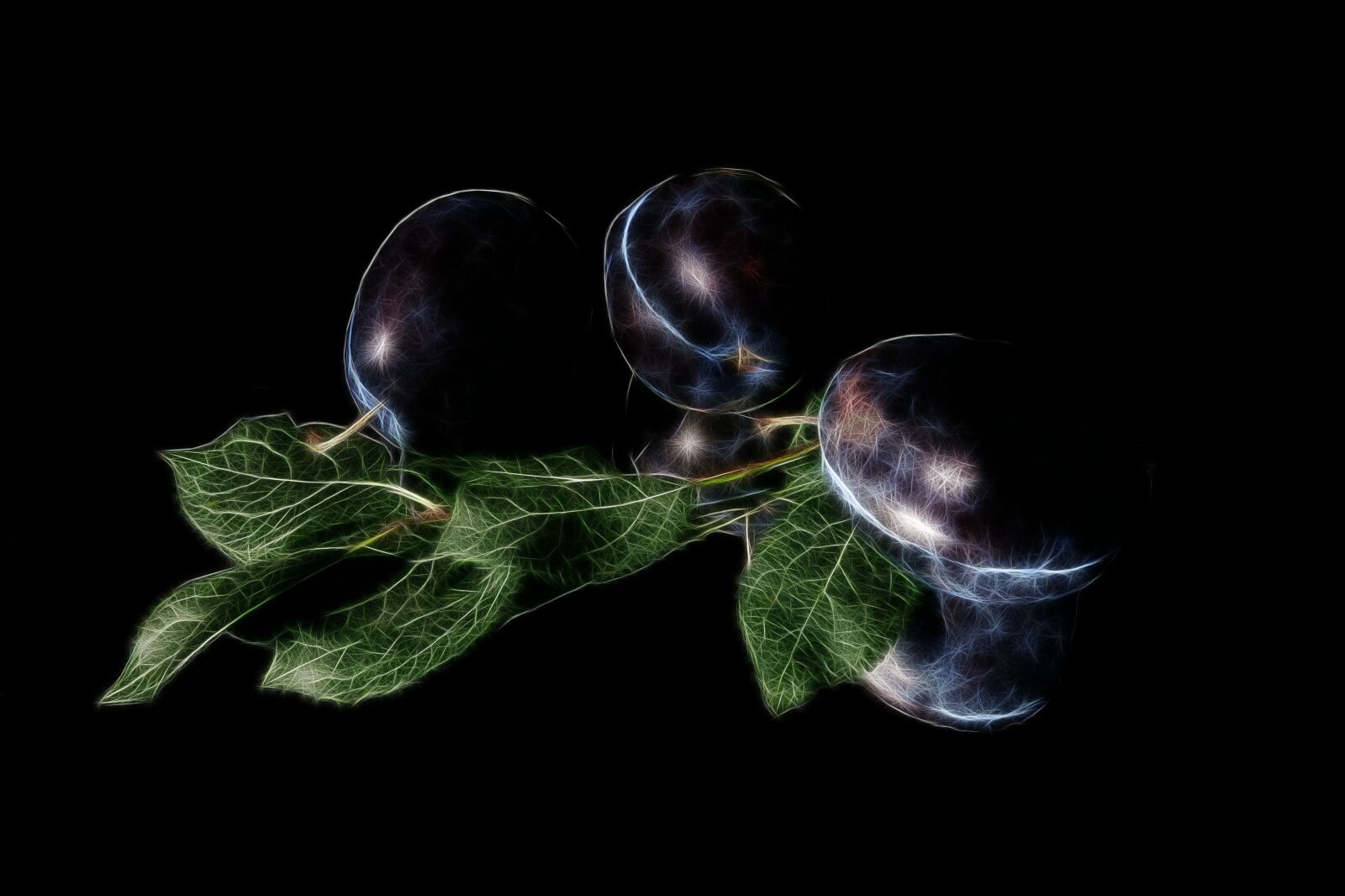 Canon PowerShot G15 sample photo. Plums, photo art, fractalius photography