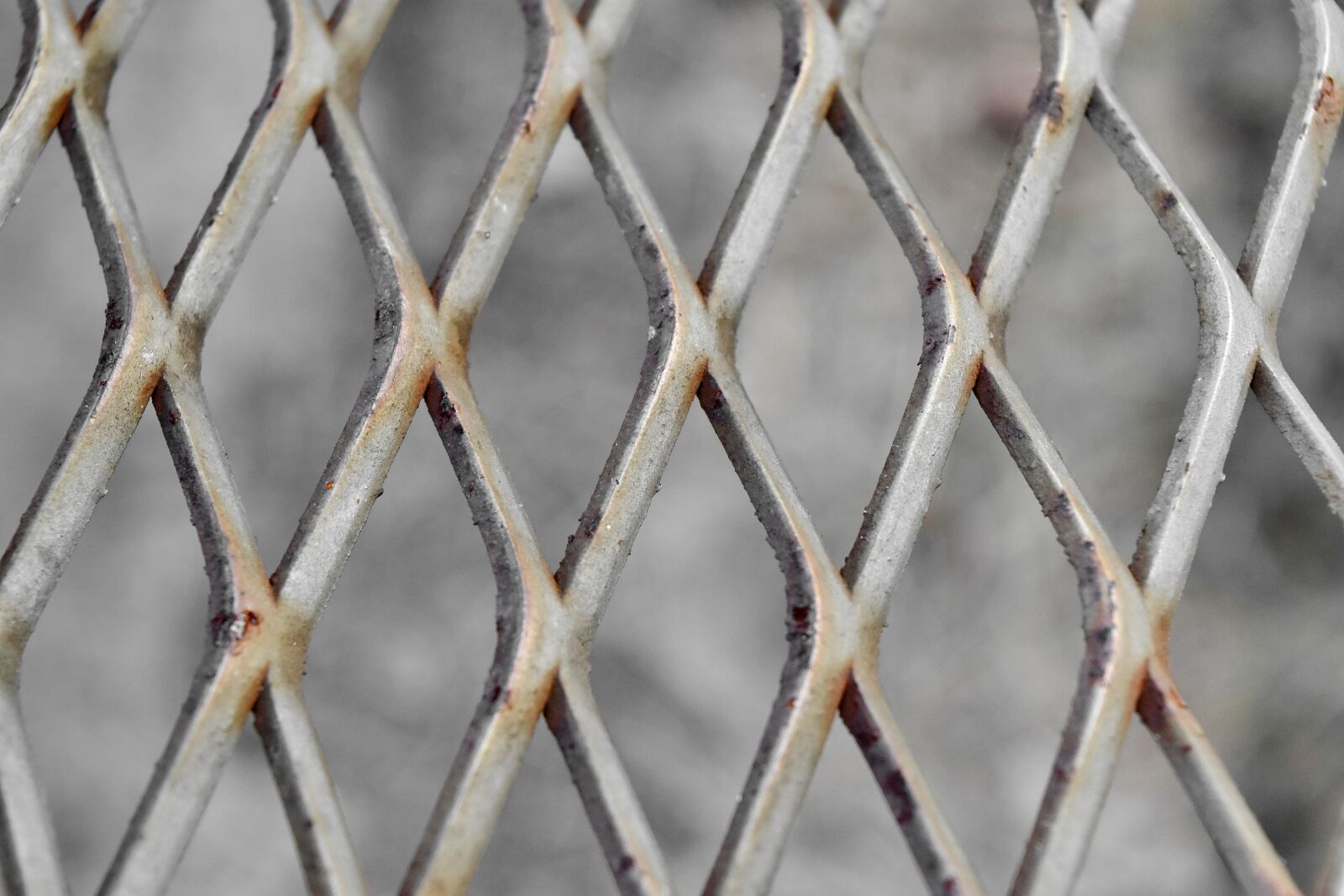Nikon D5500 sample photo. Fence, iron, steel, barrier photography