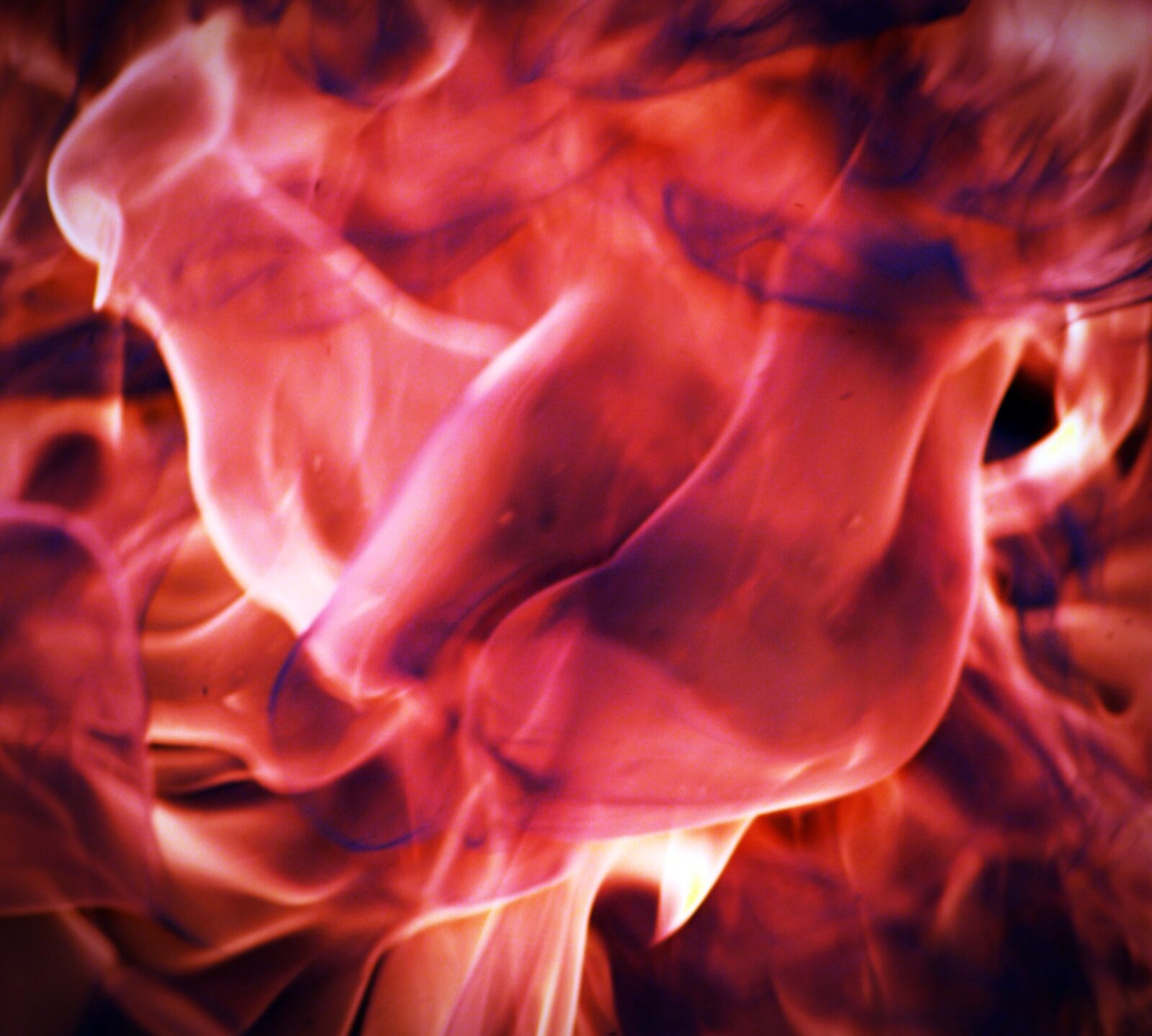 Olympus E-300 (EVOLT E-300) sample photo. Background, beautiful, blaze, blazing photography