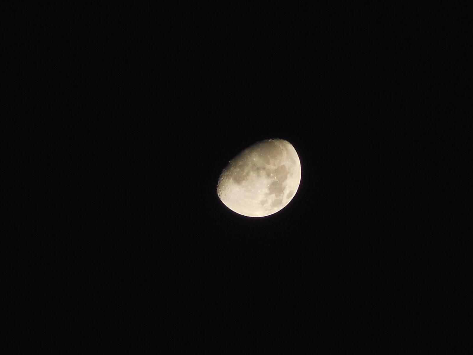Nikon Coolpix L610 sample photo