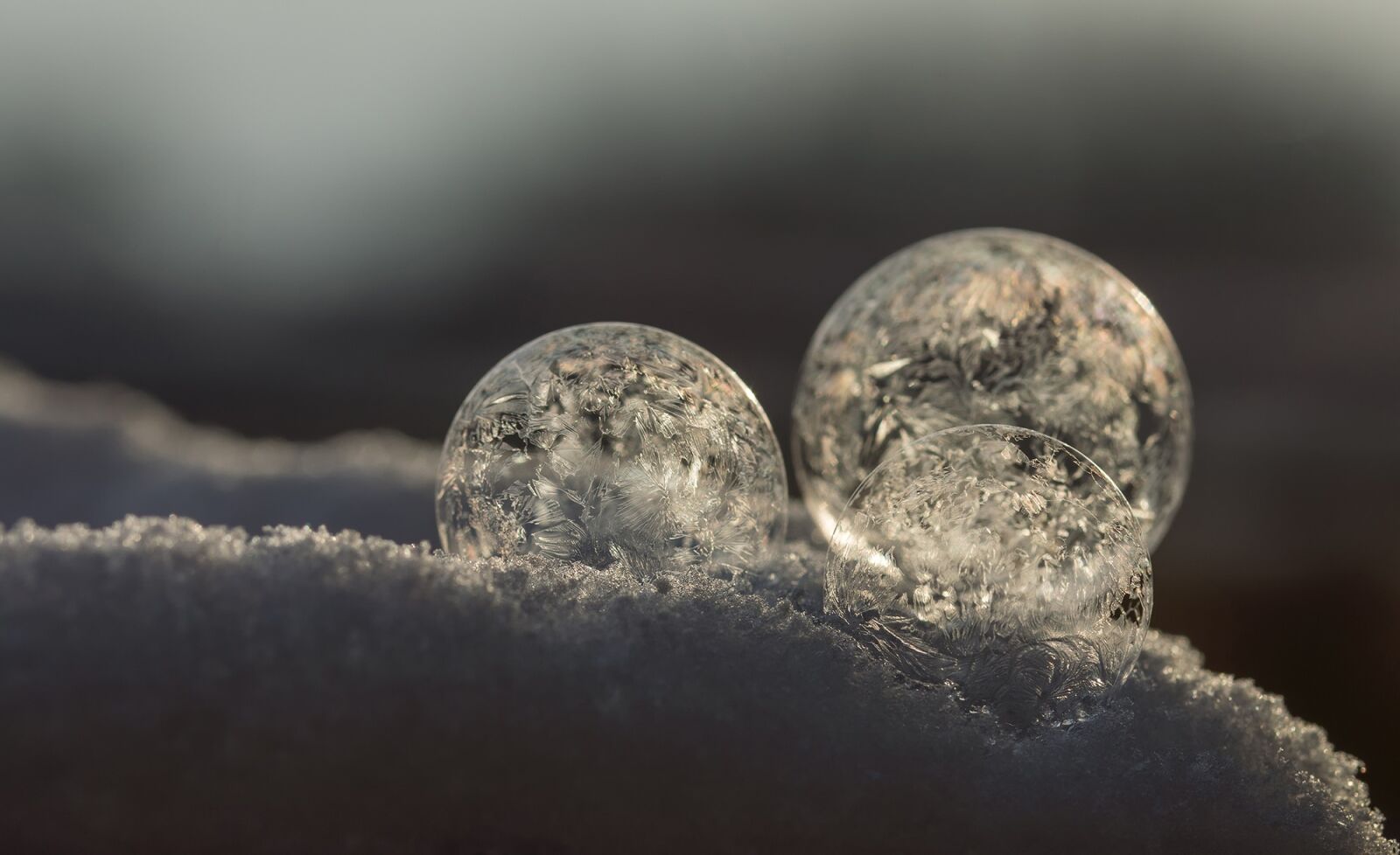 Sony SLT-A77 + 105mm F2.8 sample photo. Soap bubbles, cold, winter photography