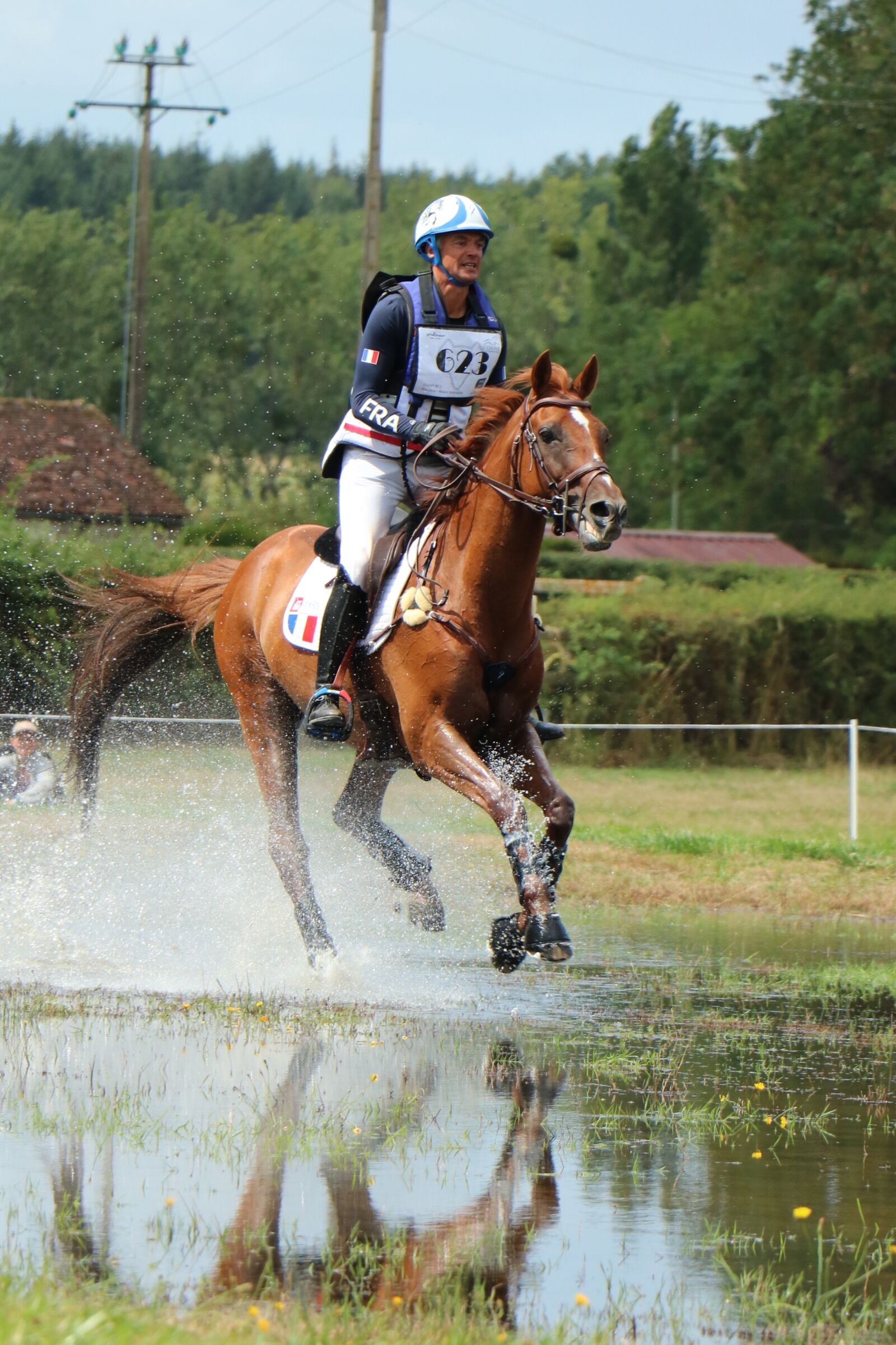 Canon EOS 750D (EOS Rebel T6i / EOS Kiss X8i) sample photo. Haras du pin, national photography