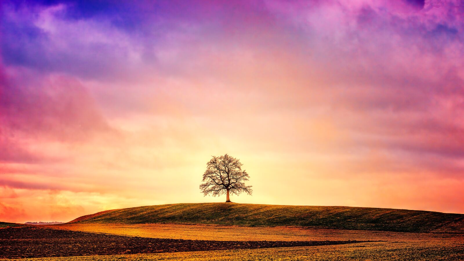 Sony DT 50mm F1.8 SAM sample photo. Tree, hill, clouds photography