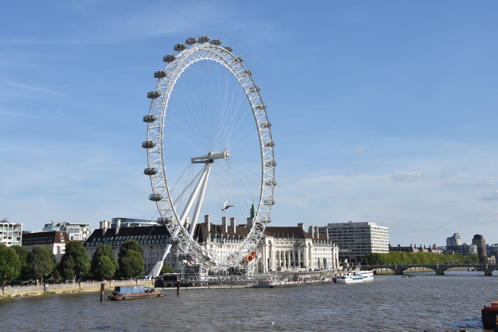 Nikon D5500 sample photo. London eye, river thames photography