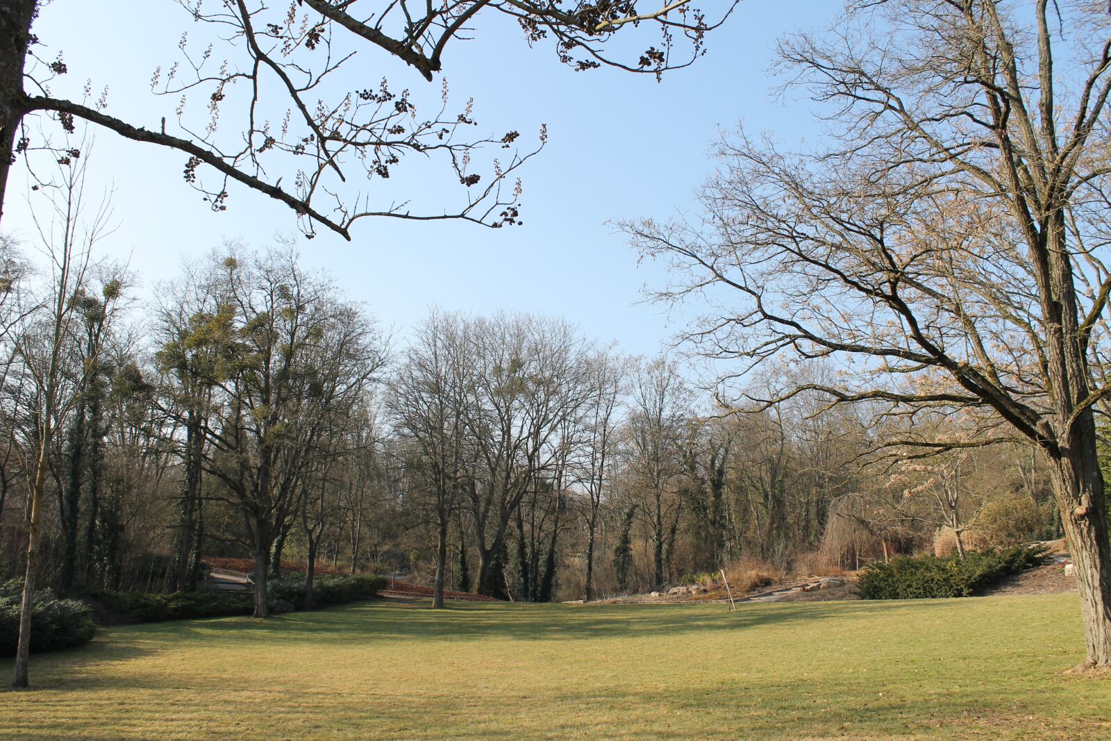 Canon EOS 1100D (EOS Rebel T3 / EOS Kiss X50) sample photo. Nature, green, trees photography
