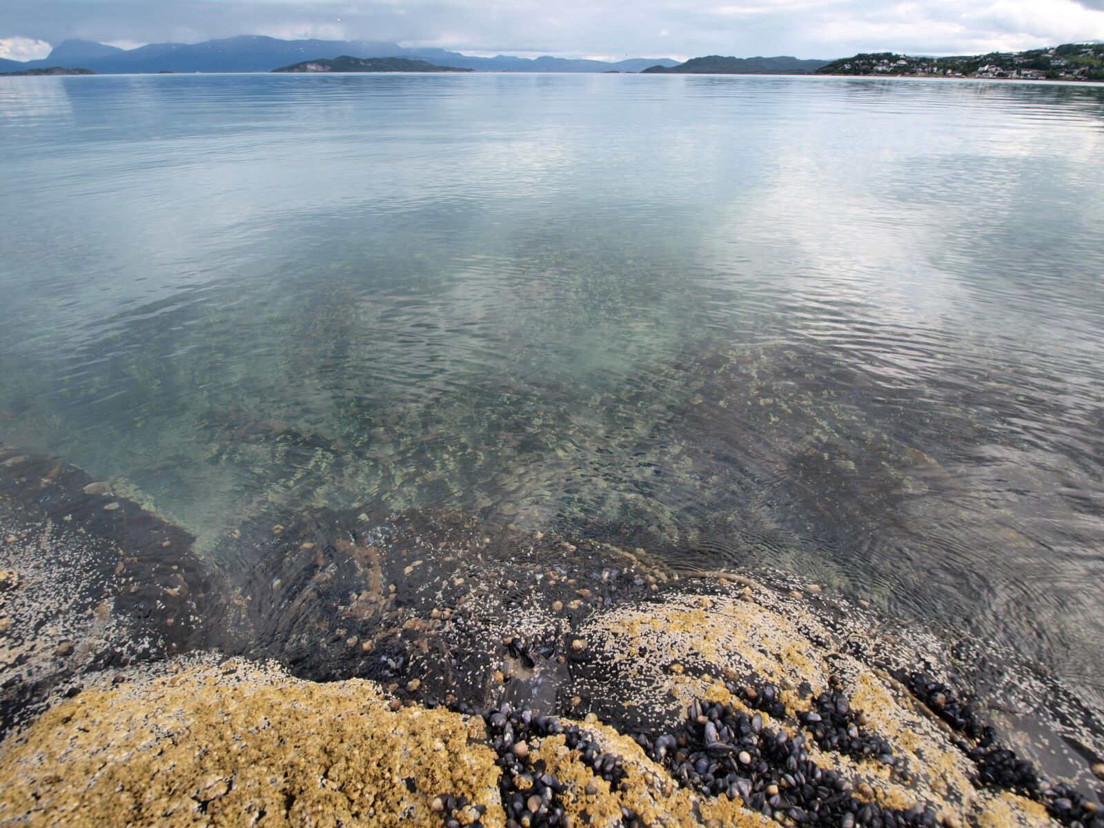 Olympus E-520 (EVOLT E-520) sample photo. Sea, smooth, mirroring photography