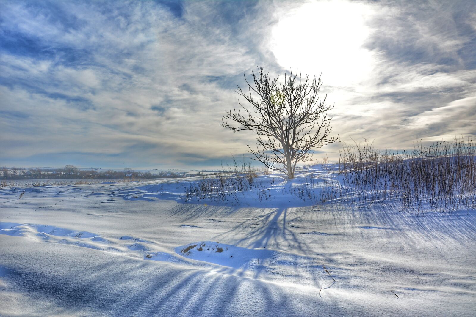 Nikon D5200 sample photo. Snowy landscape, lonely tree photography