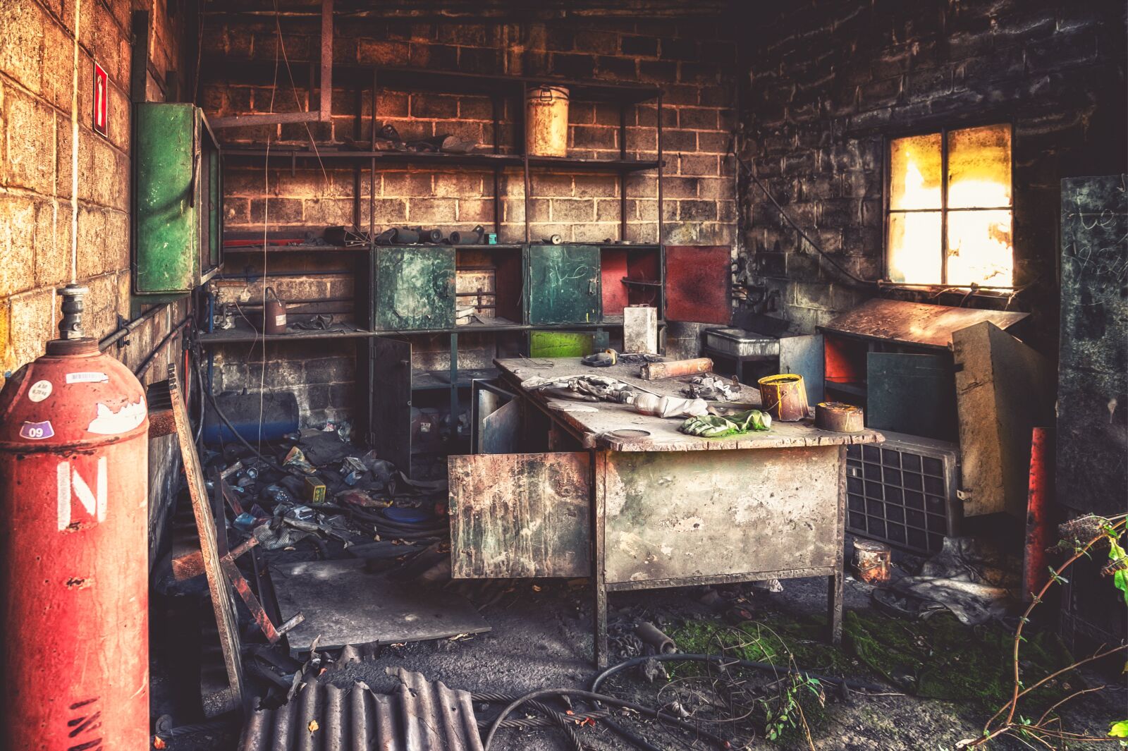 Nikon Z6 sample photo. Workshop, factory, lost places photography