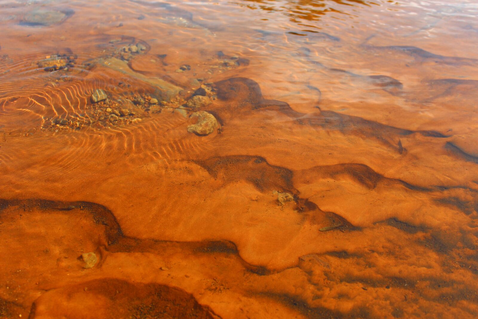 Canon EOS 600D (Rebel EOS T3i / EOS Kiss X5) sample photo. River, riverbed, spring photography