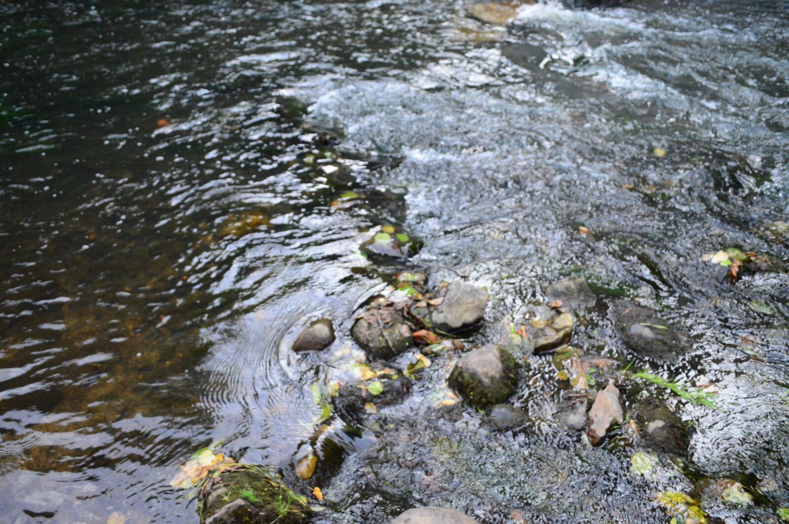Nikon D3200 sample photo. Water, river, flow photography