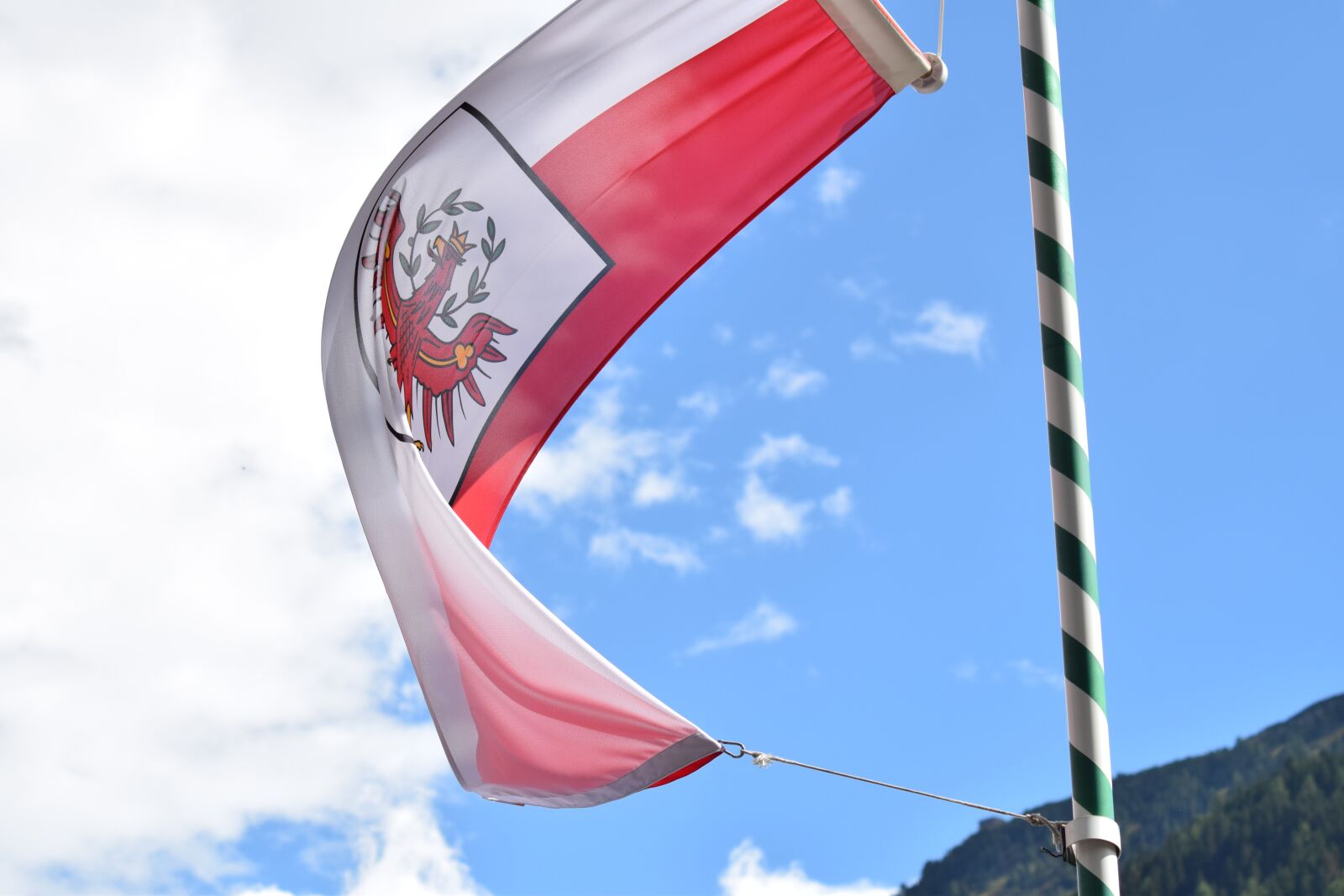 Nikon D3300 sample photo. Tirol, flag, austria photography